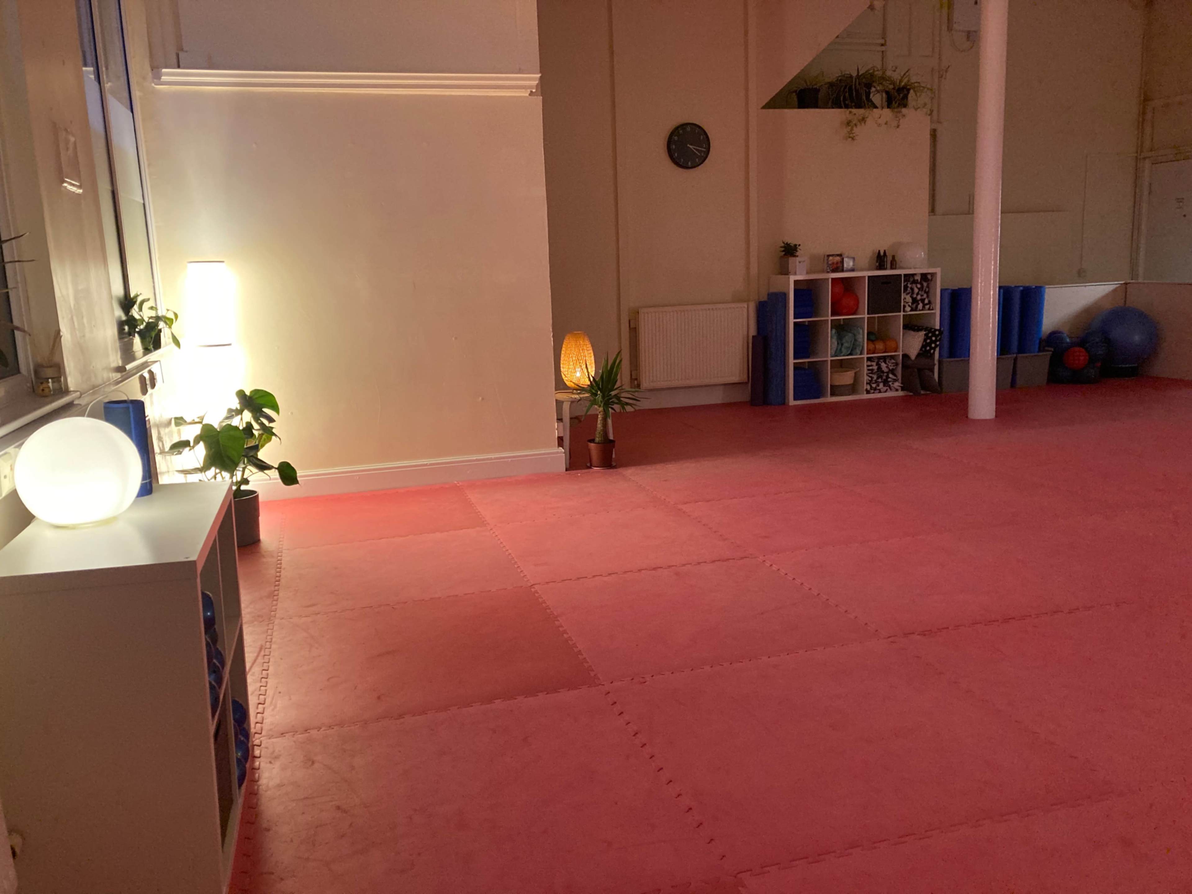 A spacious, empty exercise room with pink mats, a few plants, and organized shelves in a softly lit environment.