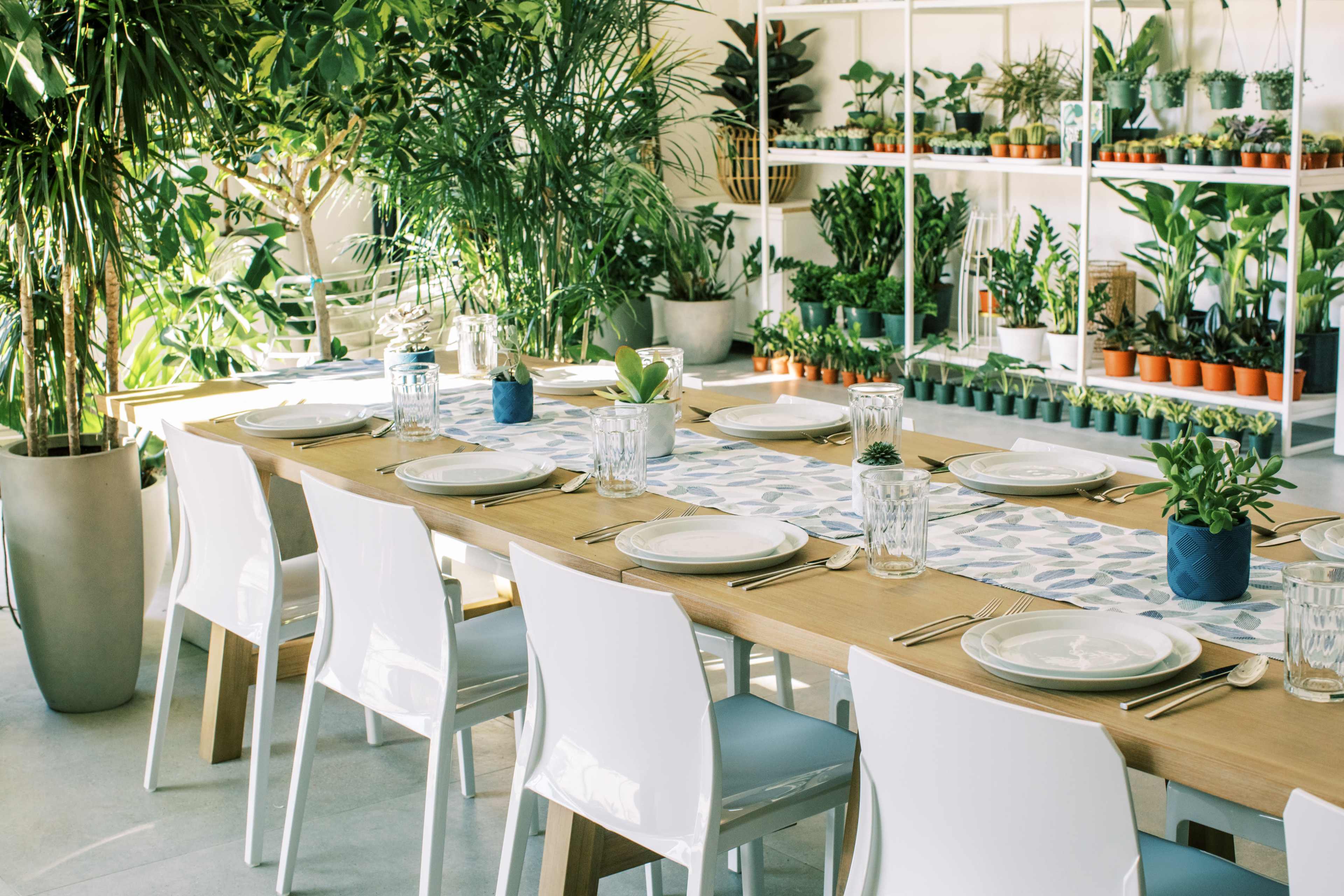 A long wooden dining table is set with plates and glasses in a brightly lit space filled with various potted plants.