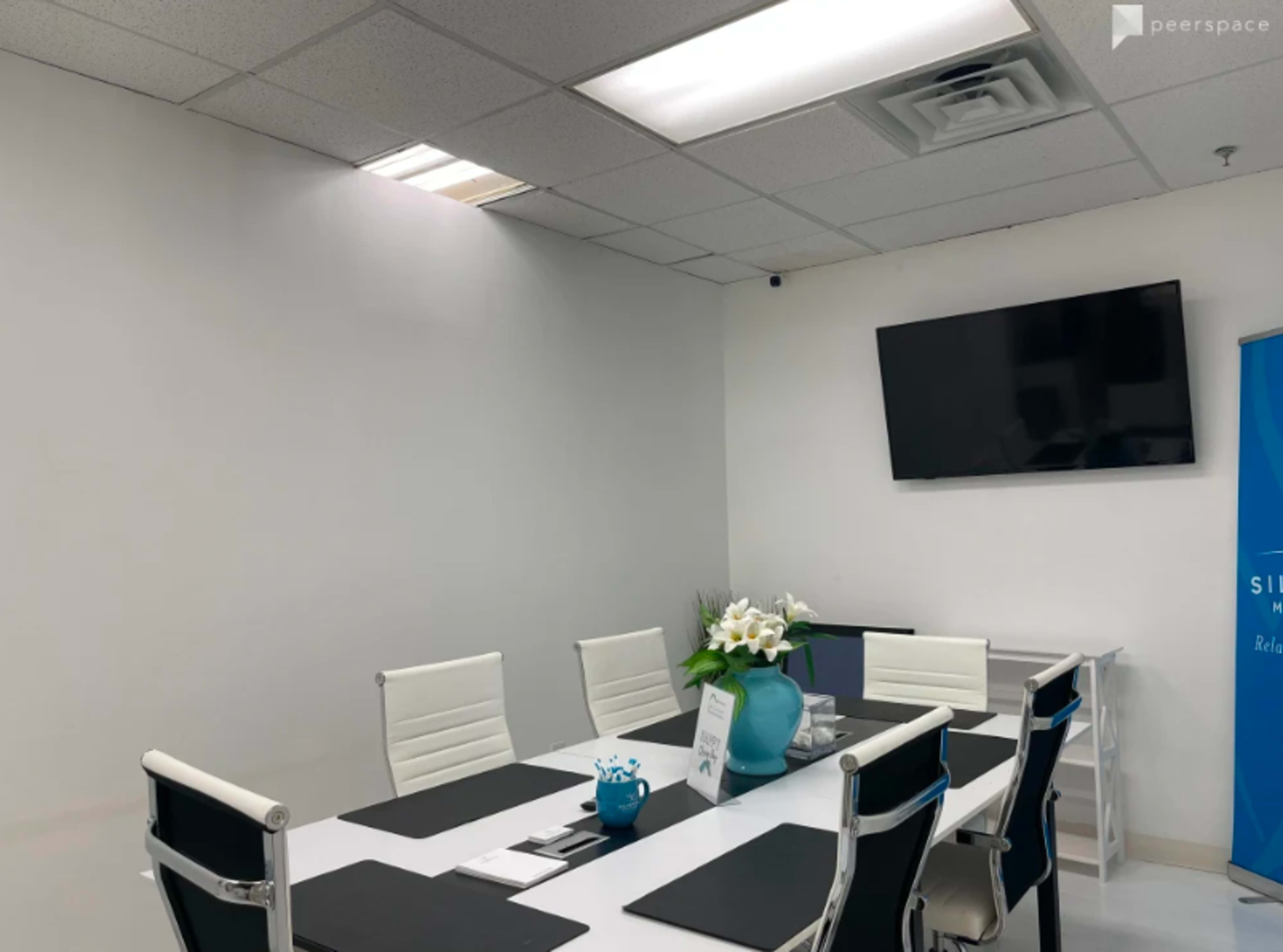 A modern conference room features a long table with white chairs, a television mounted on the wall, and a decorative plant in the center.