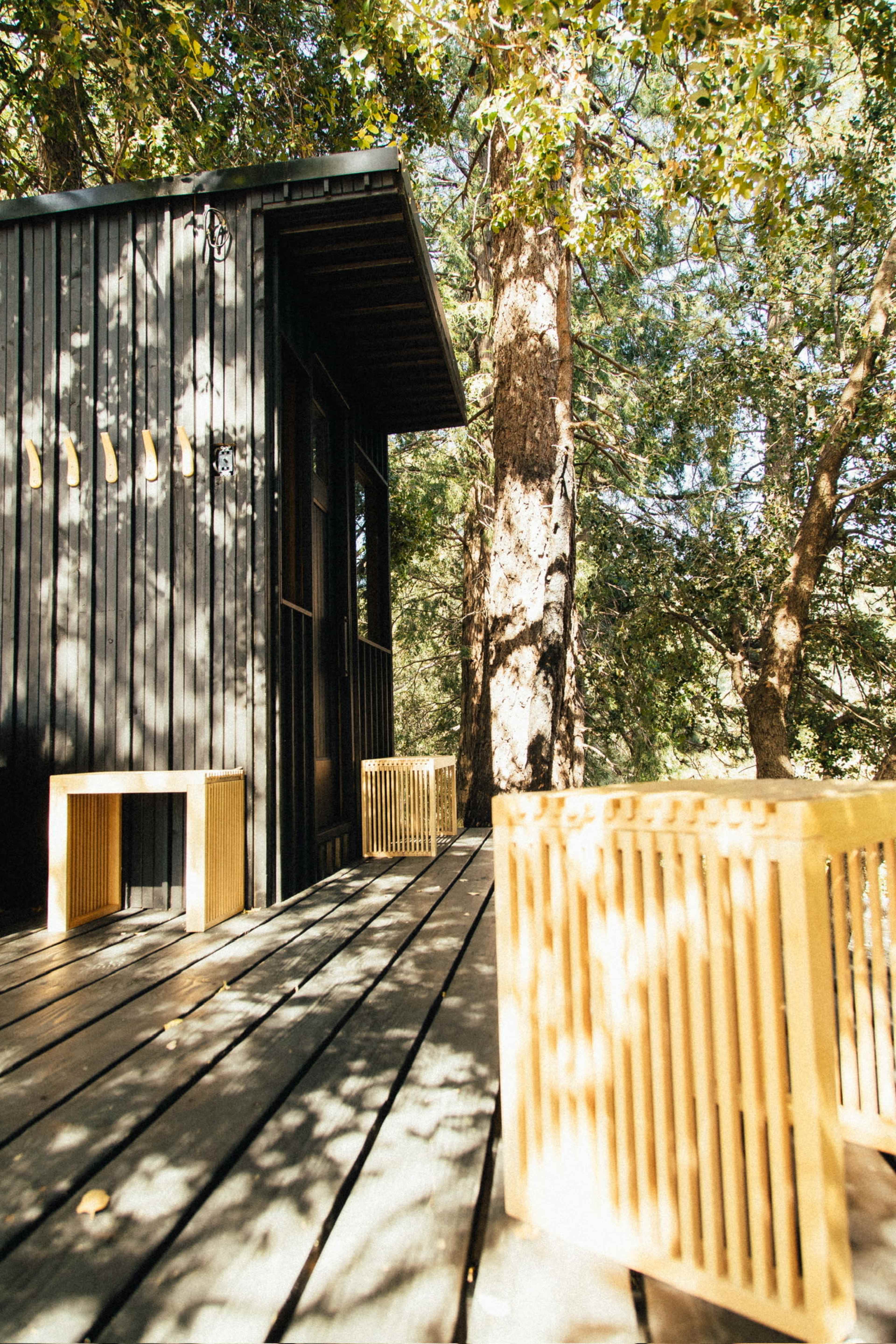A modern cabin with a black exterior and wooden deck is surrounded by tall trees and features two wooden benches.