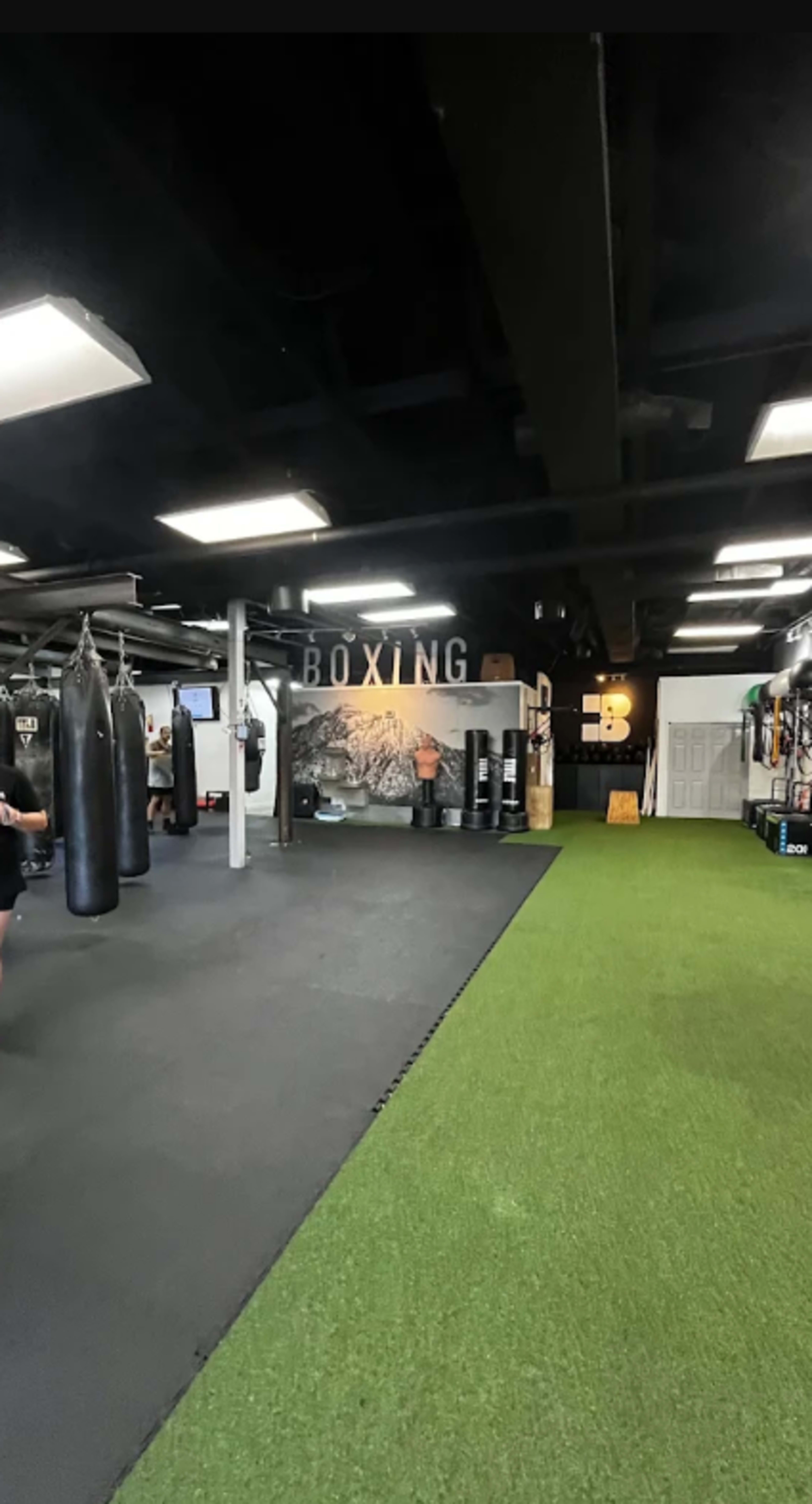 The image shows a boxing gym featuring heavy punching bags, green turf flooring, and equipment along the walls.