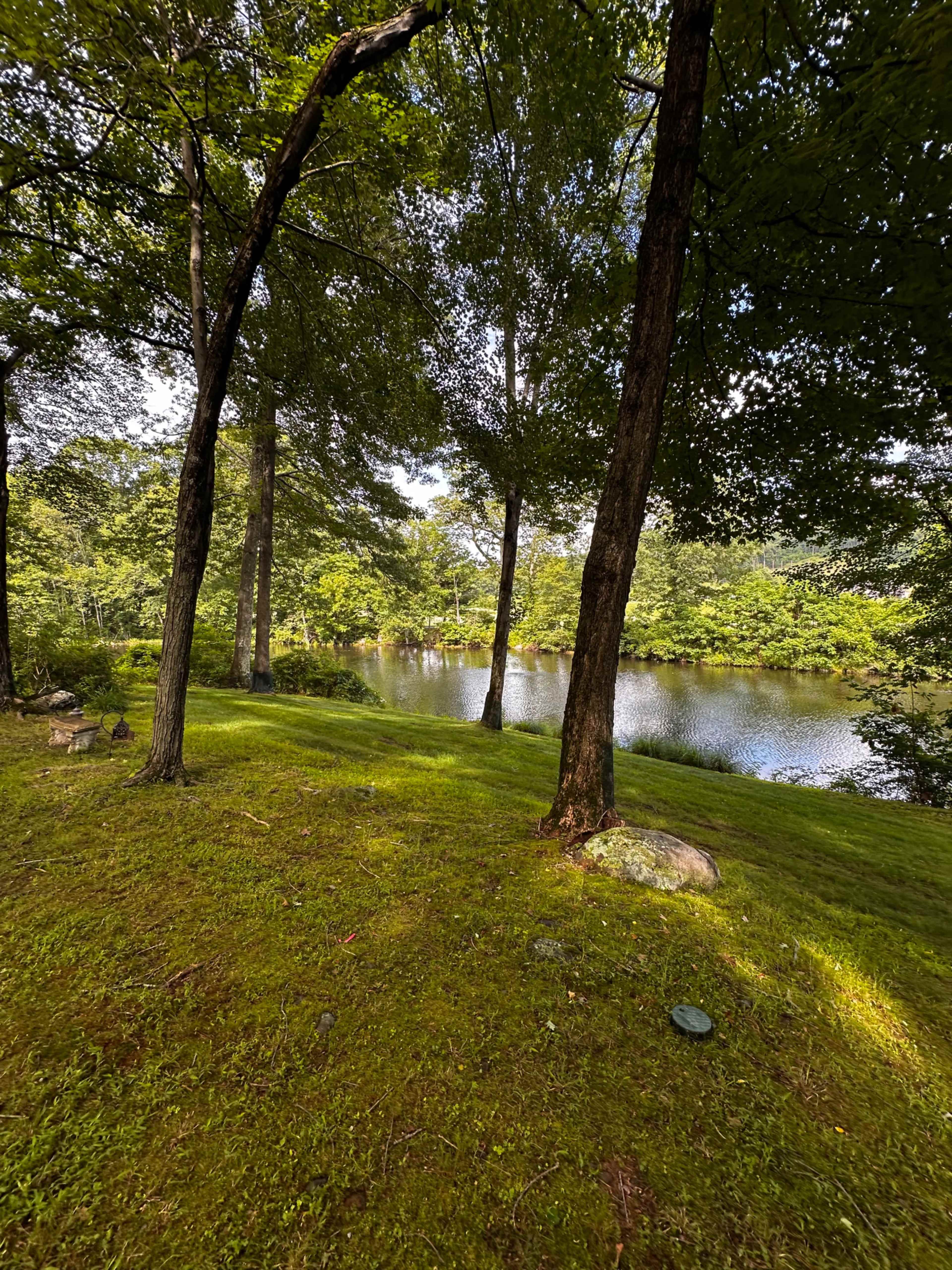 The image shows a tranquil lakeside scene with lush green grass and trees surrounding a calm body of water.