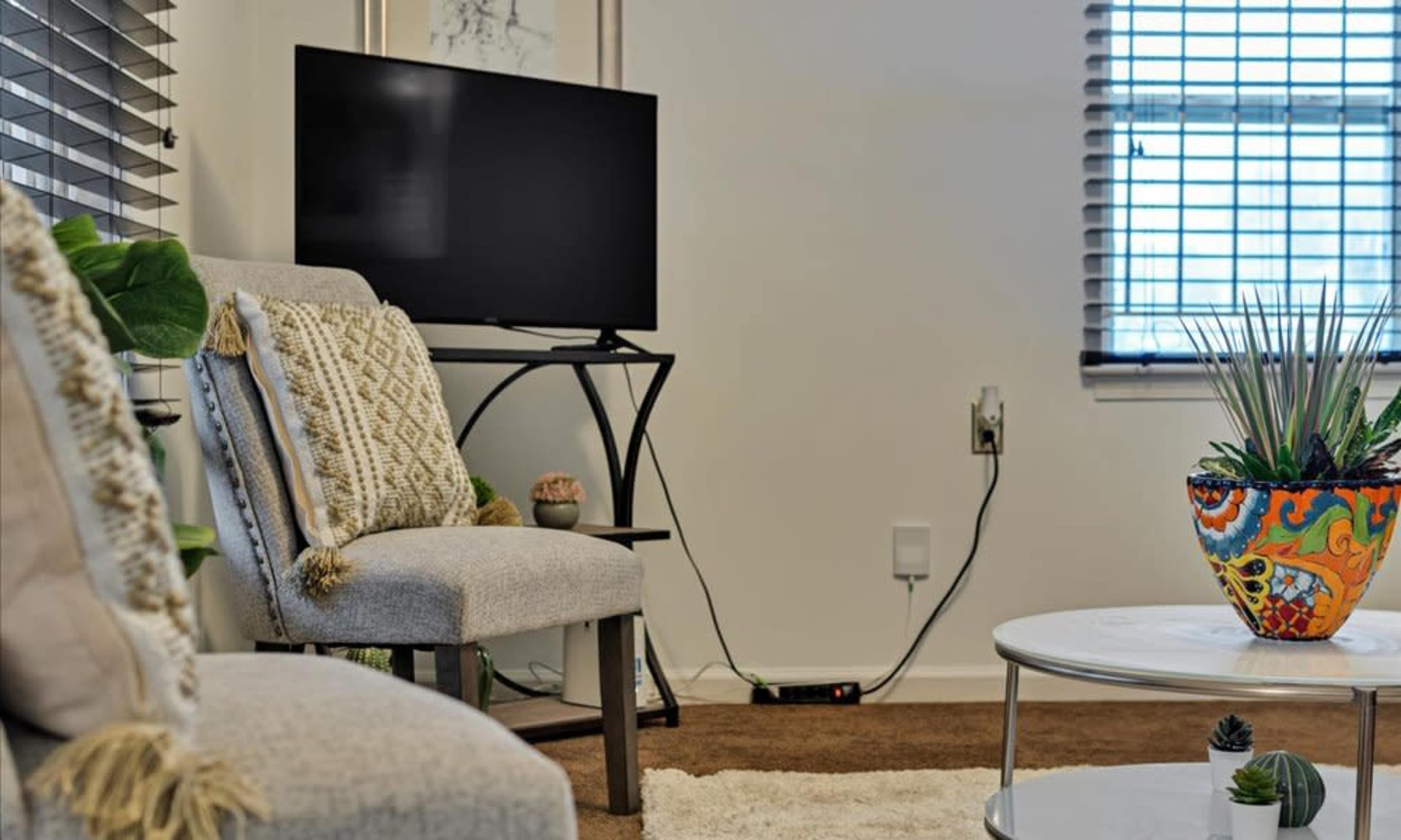 The image shows a living room corner with two chairs, a small coffee table, a television on a stand, and a decorative potted plant.