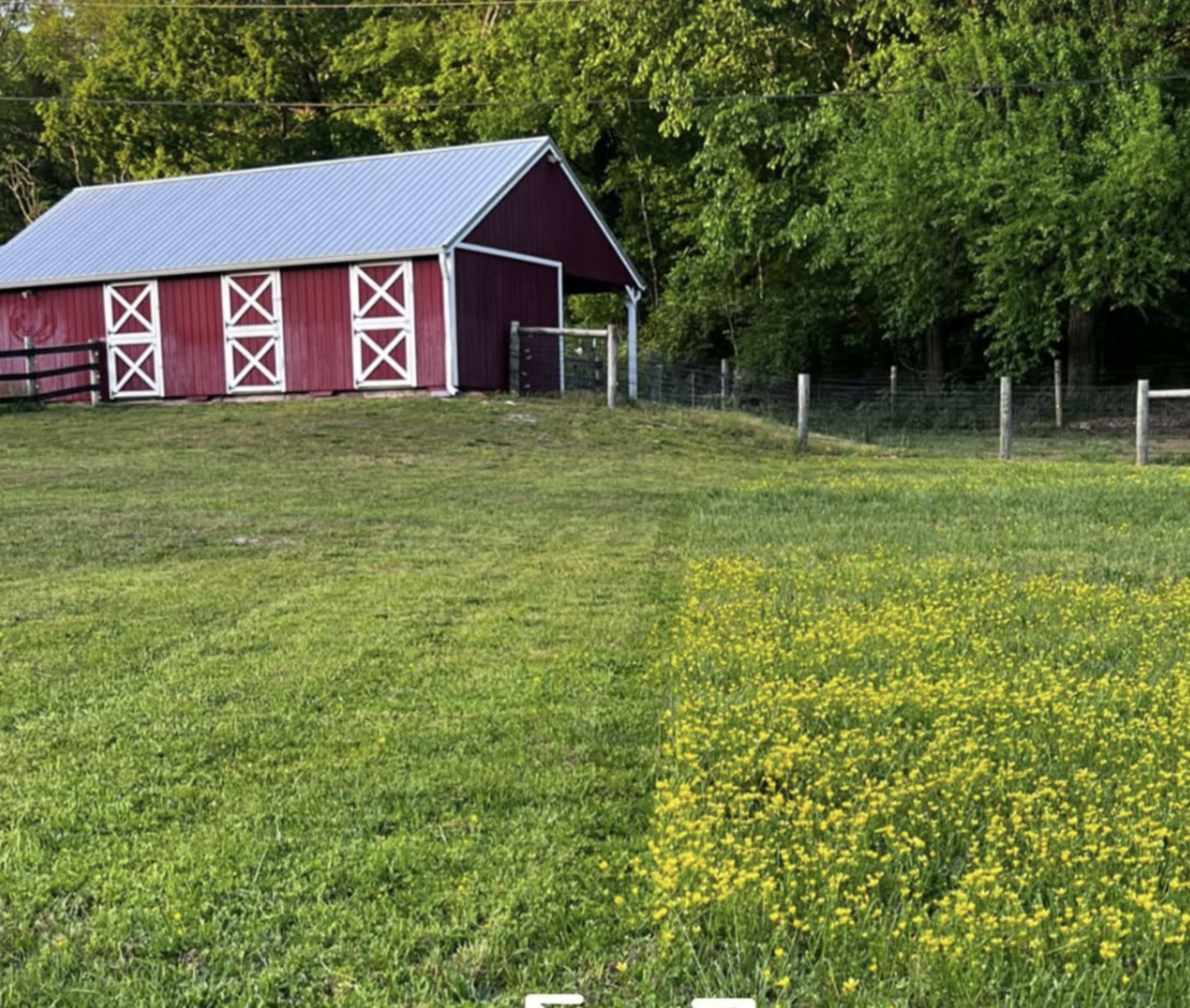 Secluded Resort-like Farm Land Image in Bellevue, Pegram, TN