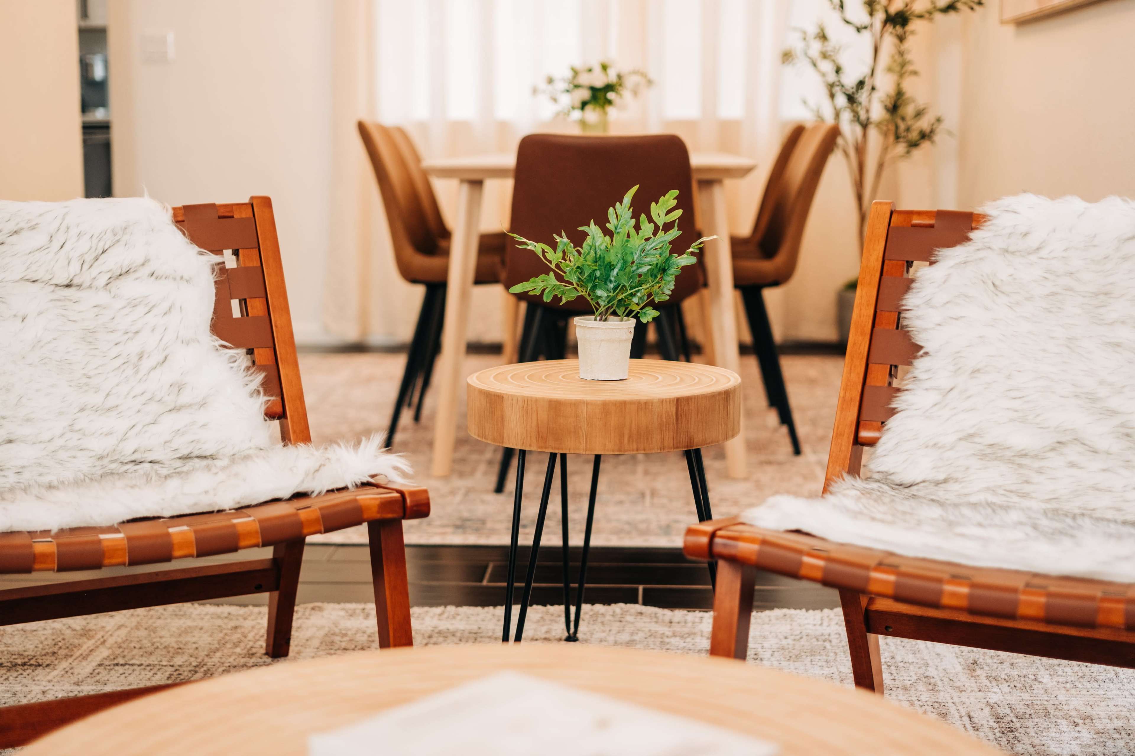 Two wooden chairs with white fur throws flank a small round table with a potted plant, set in a bright dining area with a table and chairs in the background.