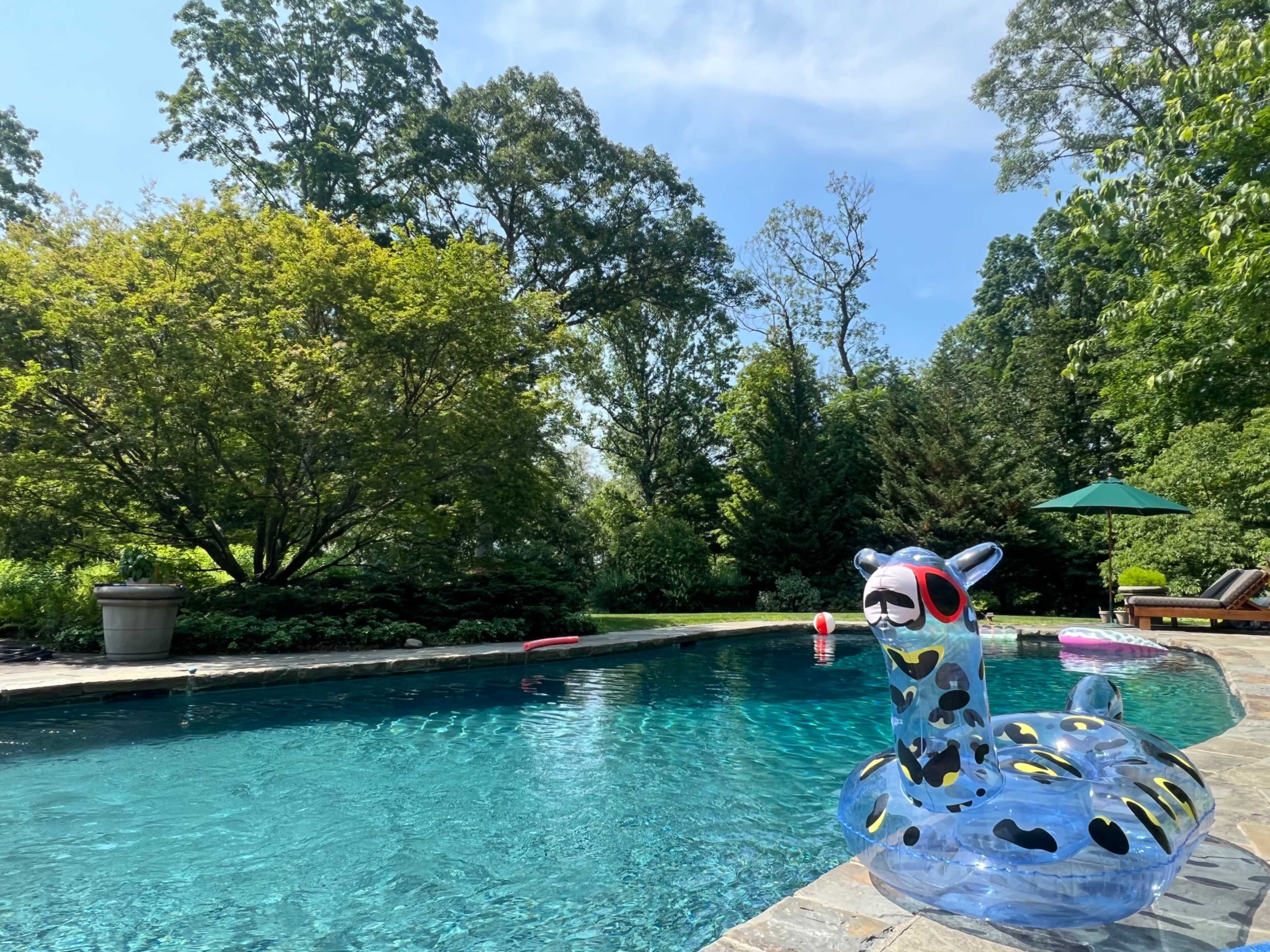 A colorful inflatable giraffe floats in a clear swimming pool surrounded by greenery and lounge chairs.