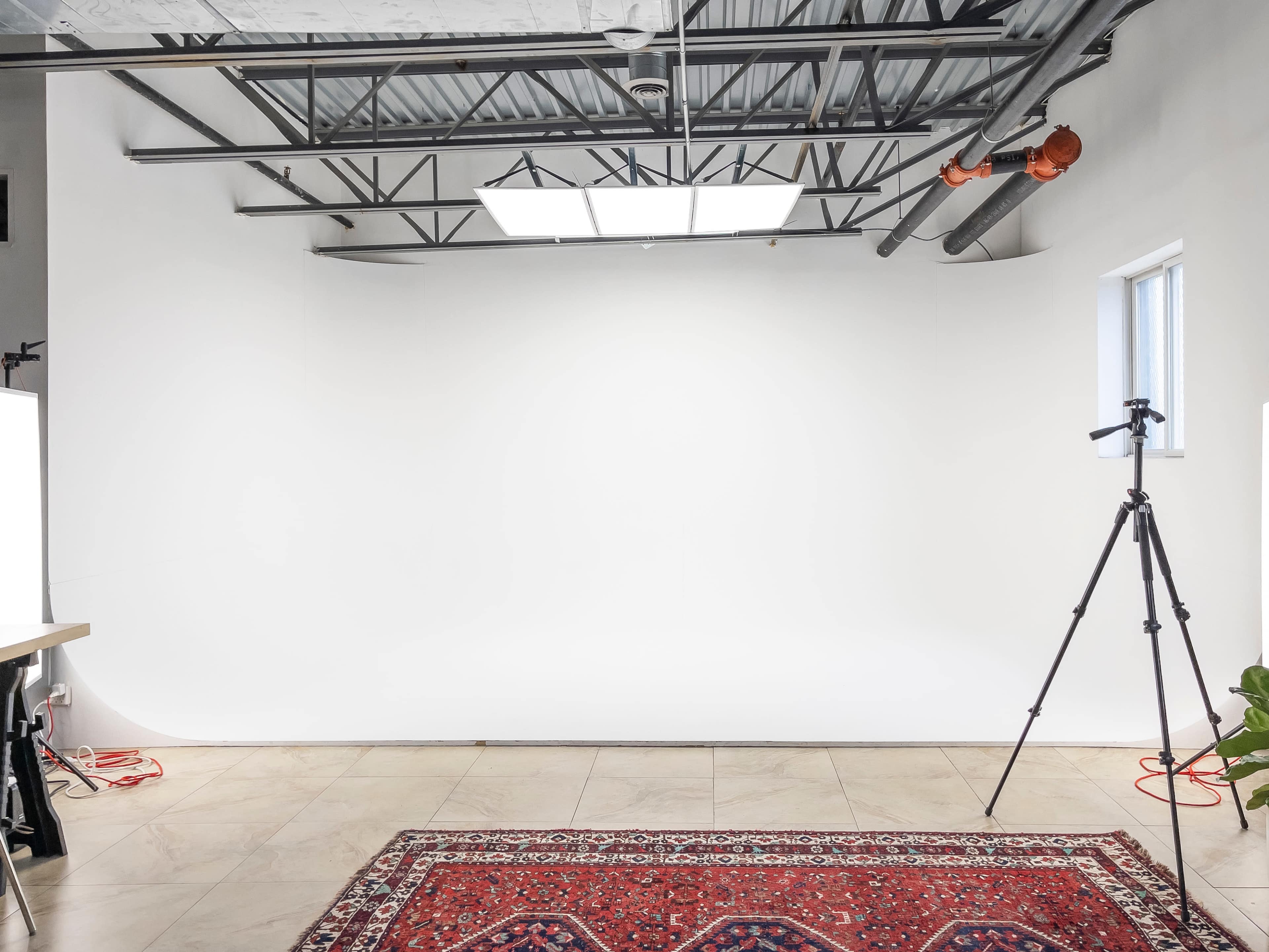 A photography studio features a white backdrop, a tripod, and a decorative rug on the floor.