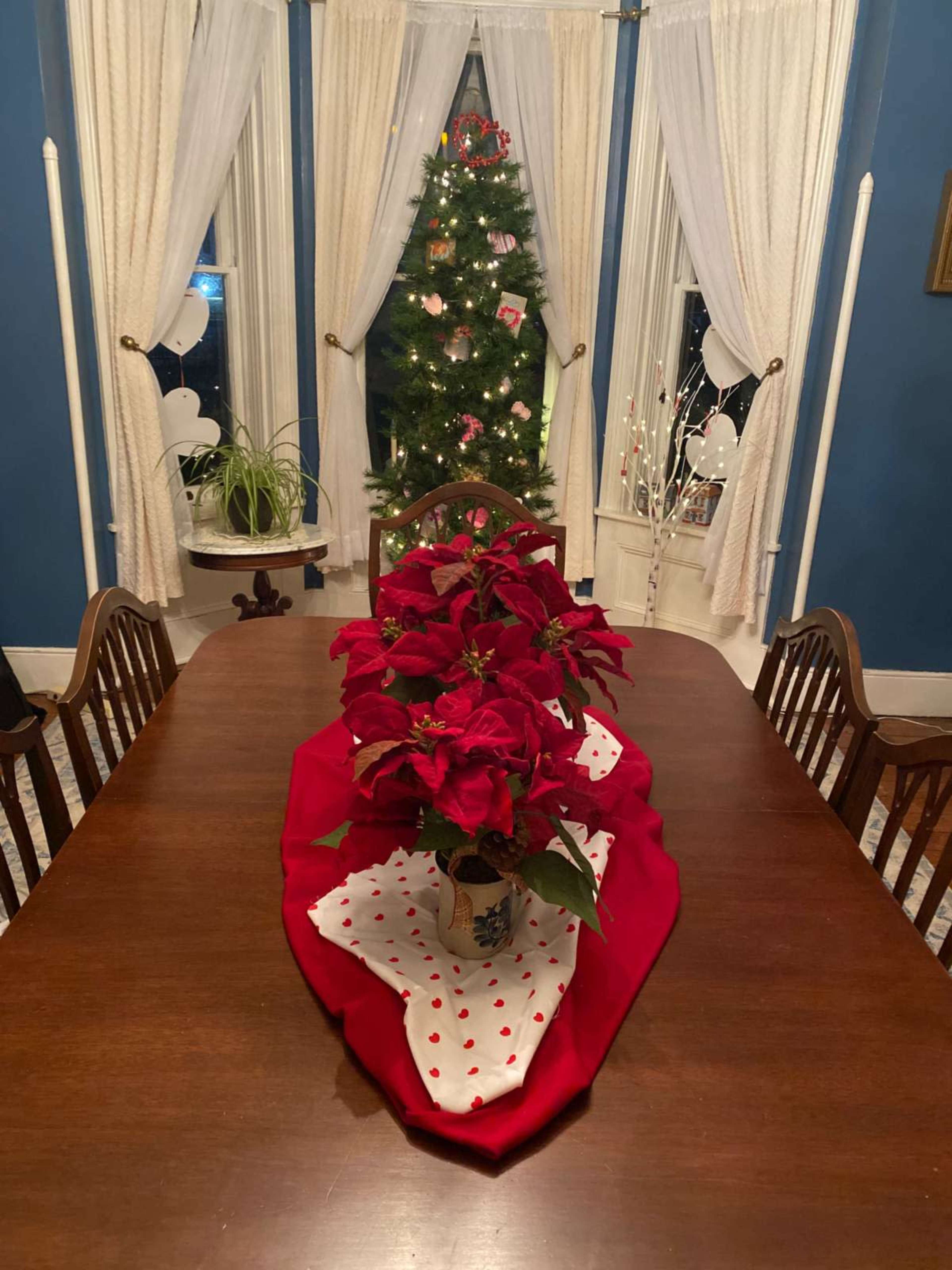 A dining table is set with a red tablecloth and a vase of poinsettias, while a decorated Christmas tree stands in the background.