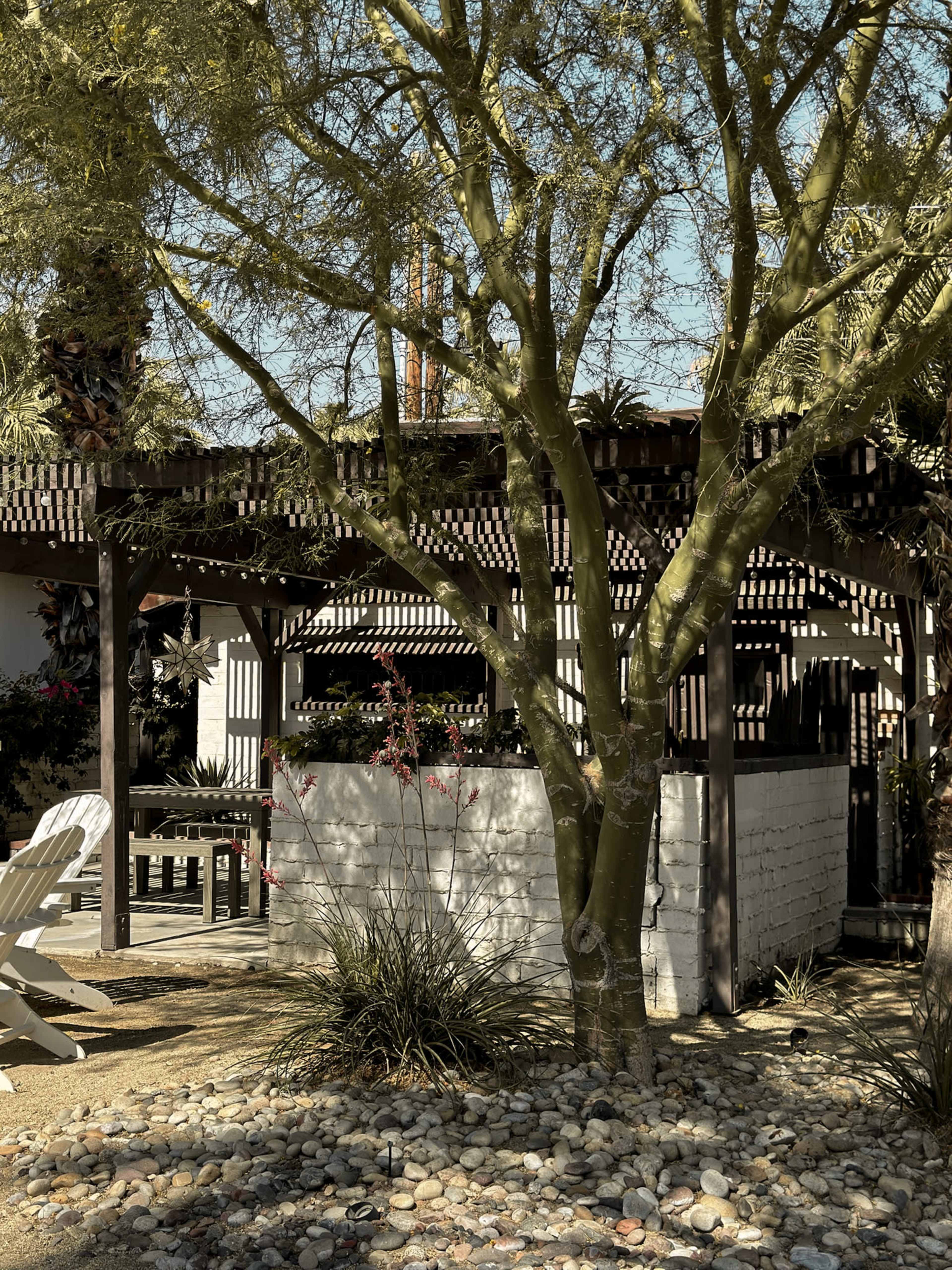 A tree stands beside a wooden structure with a pergola, surrounded by gravel and low plants in a landscaped area.
