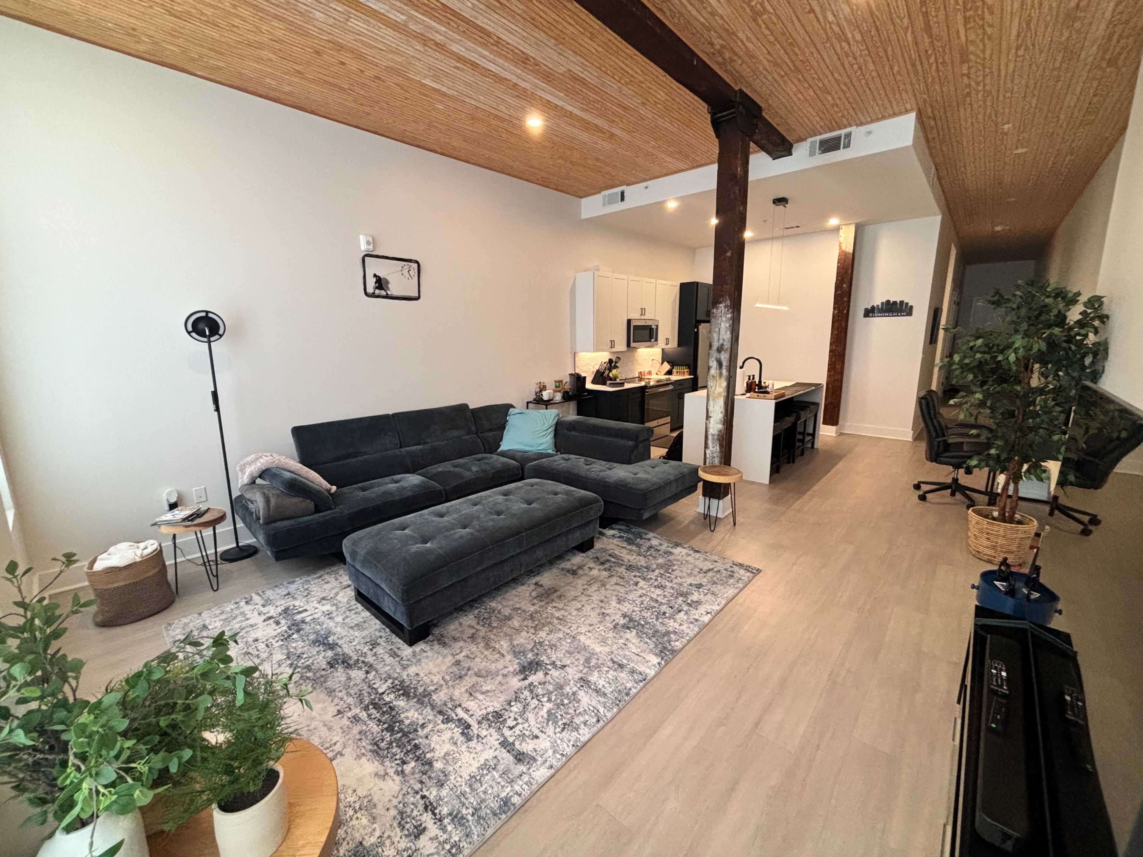 Luxury Loft with Rooftop Terrace in Birmingham’s Historic Theatre District Image in Fountain Heights, Birmingham, AL