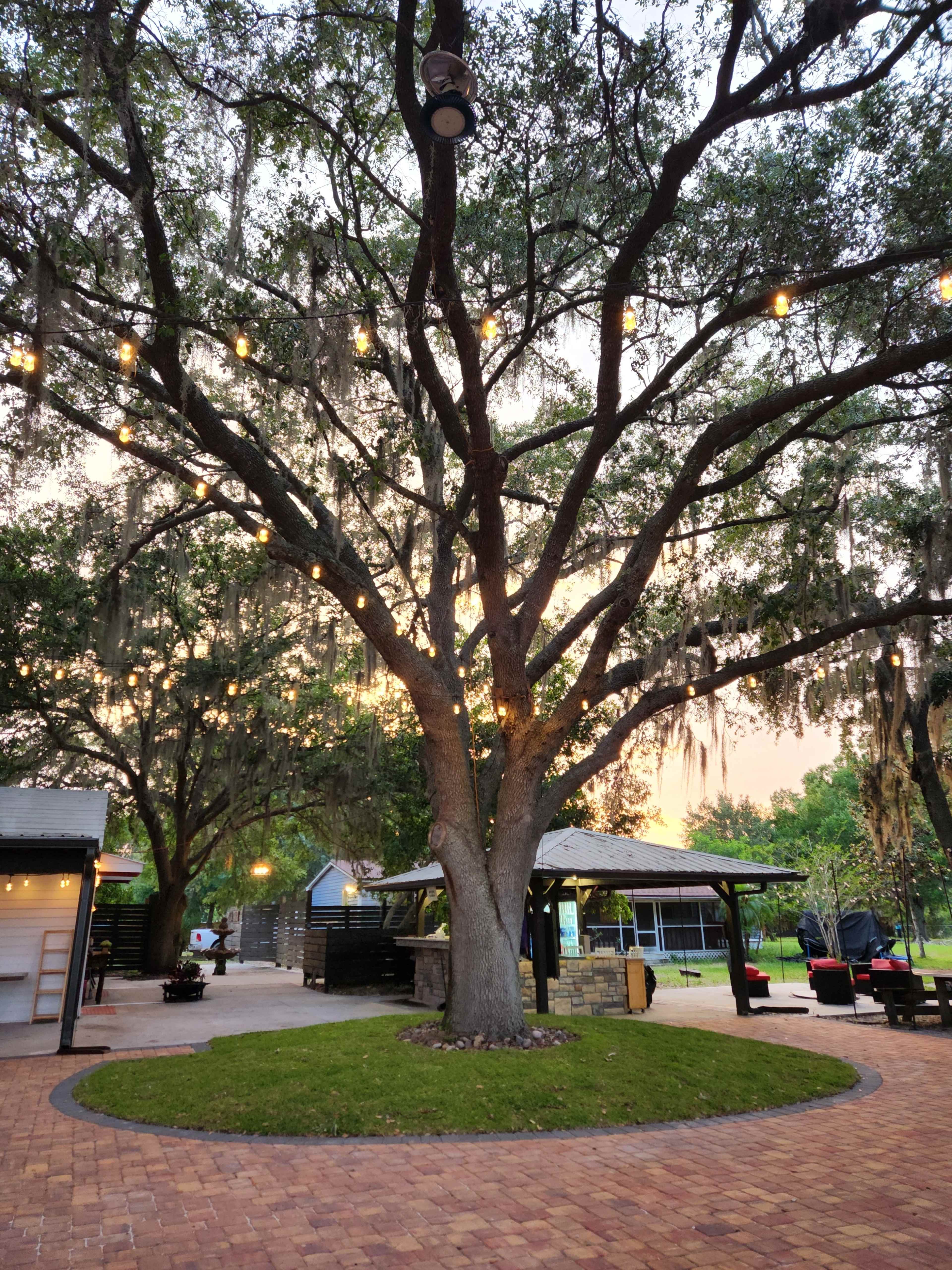 Ranch, Lake Nona area ,Outdoor covered patio with outside, romantic, boho, rustic Image in , St cloud, FL