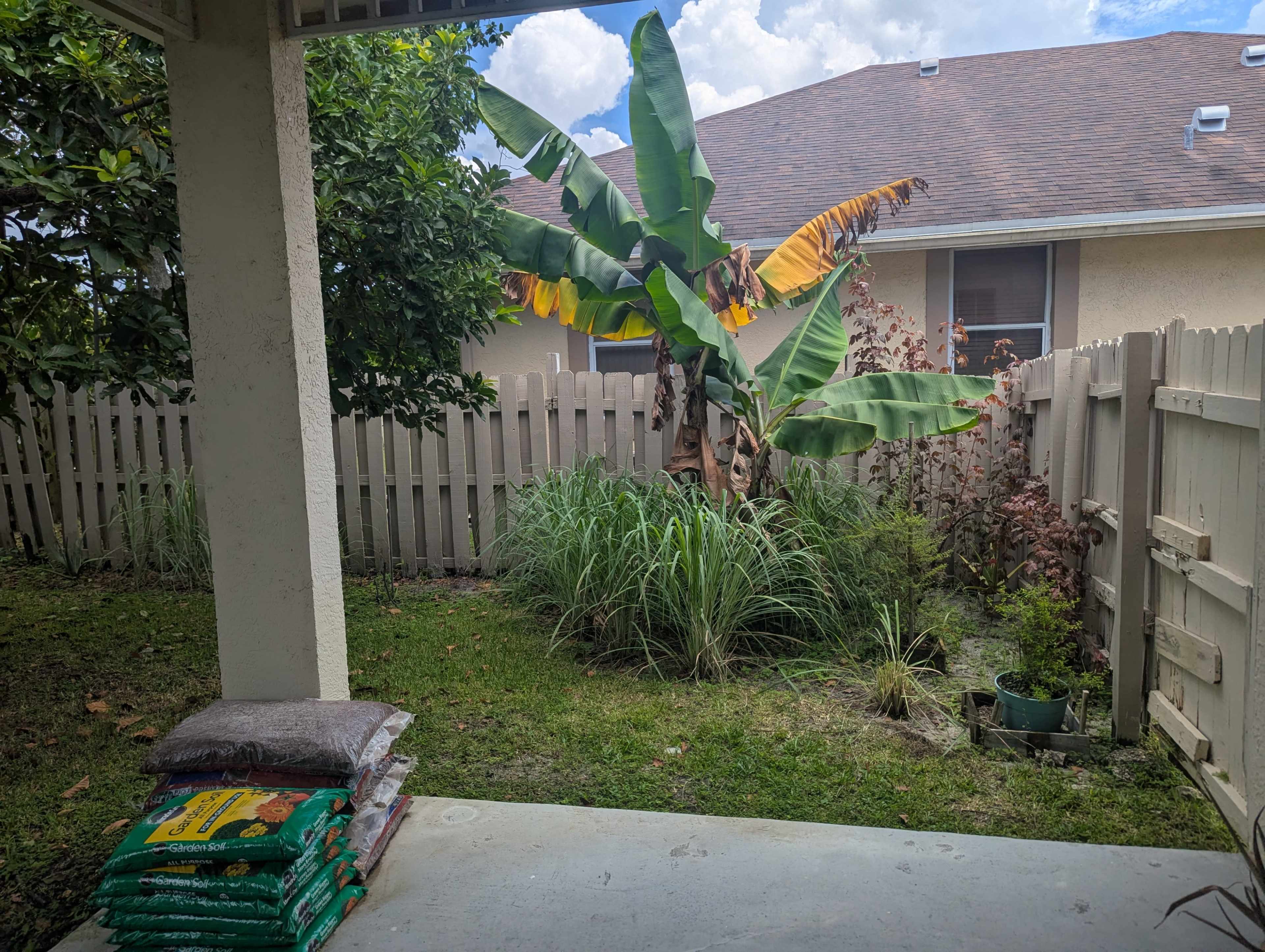 Spacious Suburban Home in Wellington with Tropical Backyard Image in Wellington, Wellington, FL