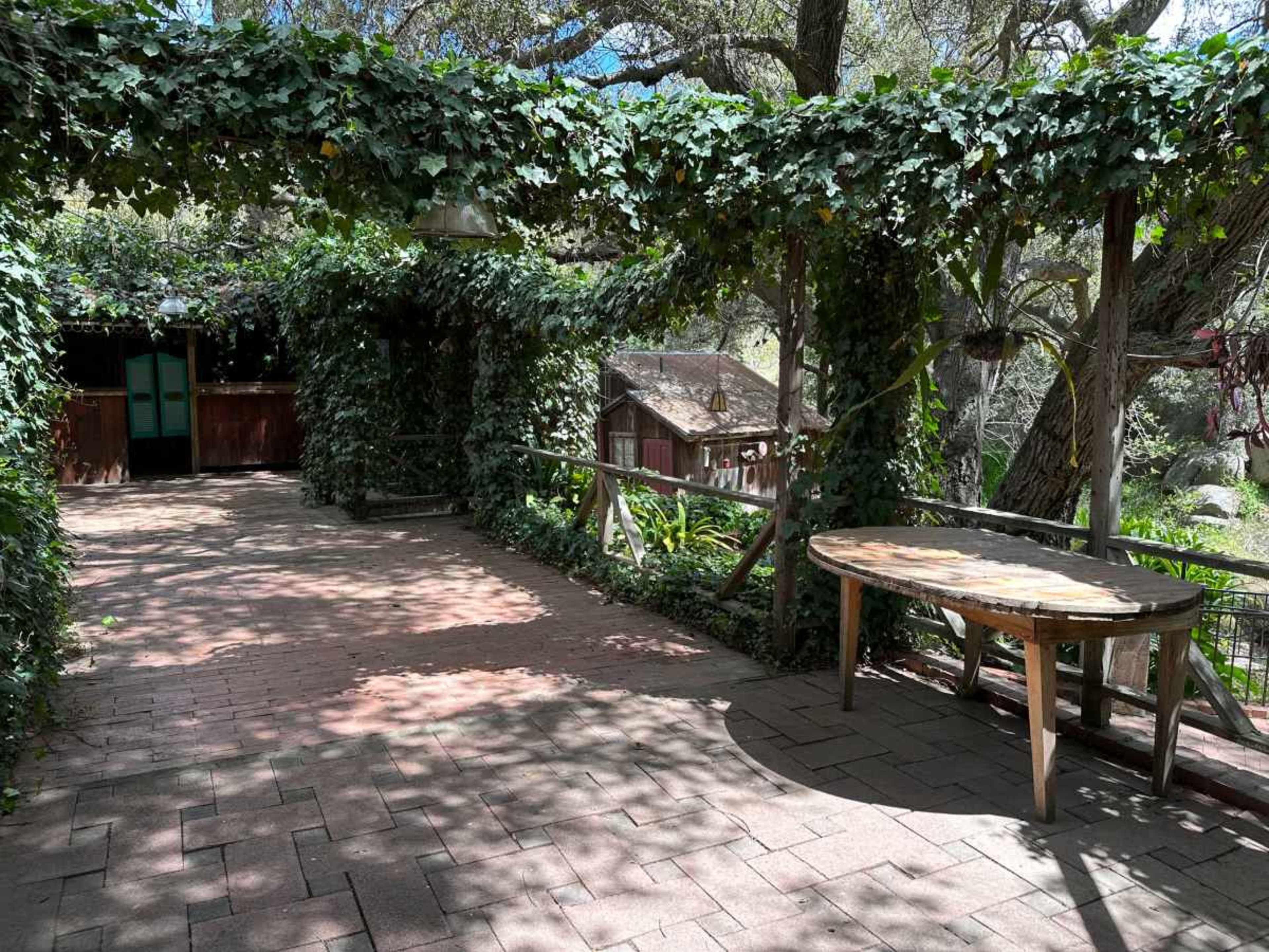 The image shows a shaded patio area covered in greenery, featuring a wooden table amidst brick flooring and surrounding foliage.