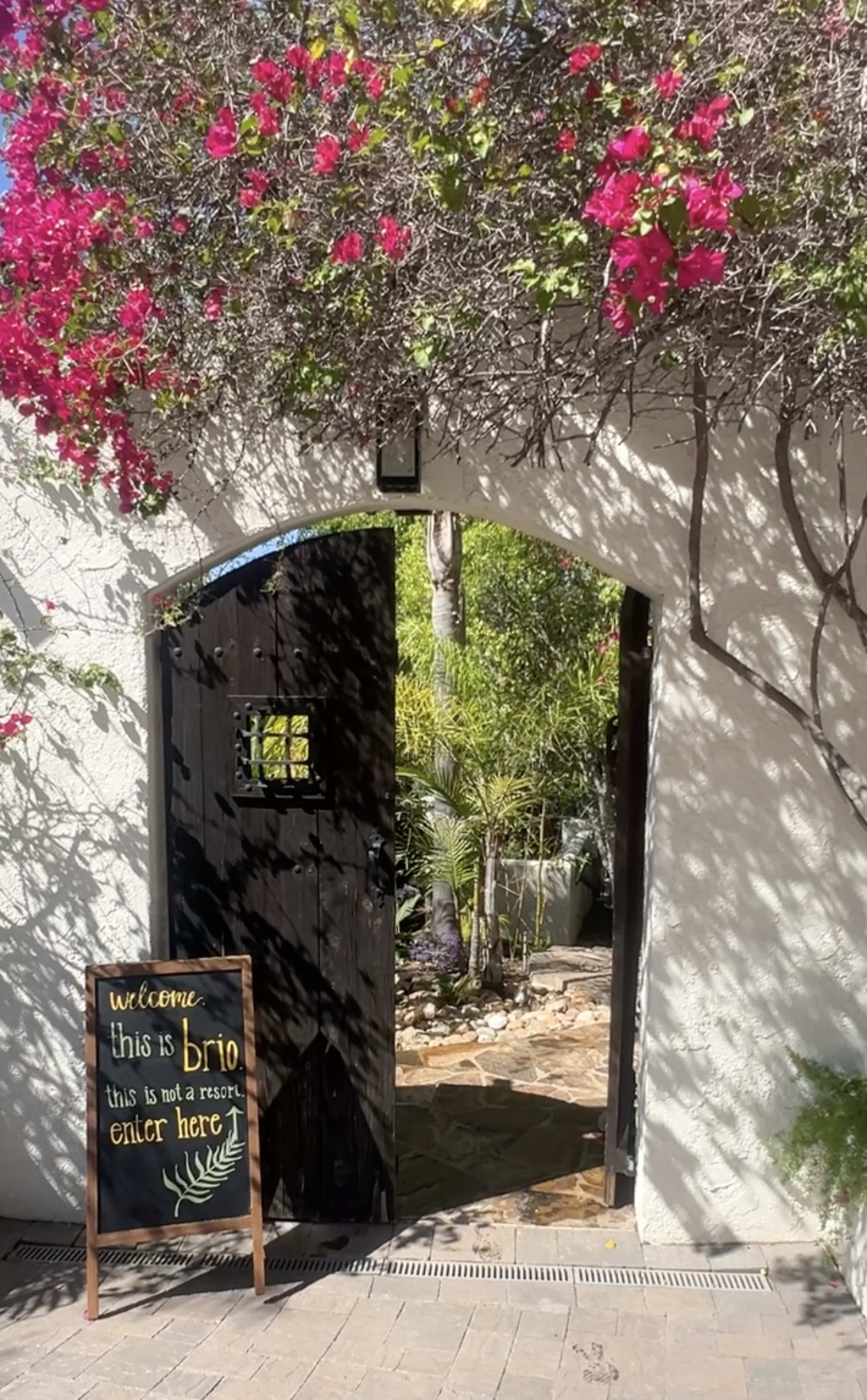 BRIO | Tropical Outdoor Space for Shoots and Content Creation Image in Casa de Oro-Mount Helix, El Cajon, CA