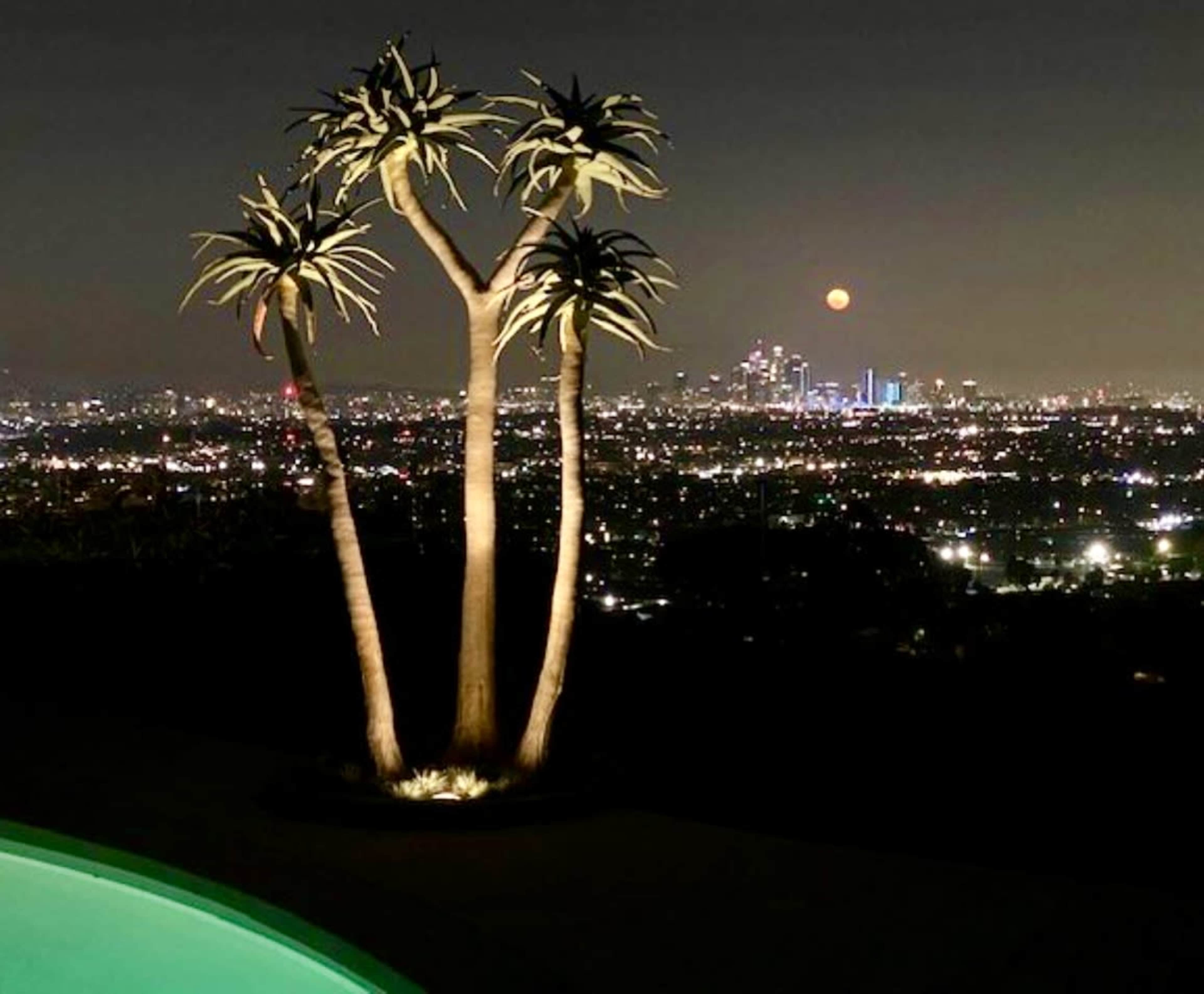 Three palm trees stand beside a pool, overlooking a city skyline illuminated at night with a full moon in the background.