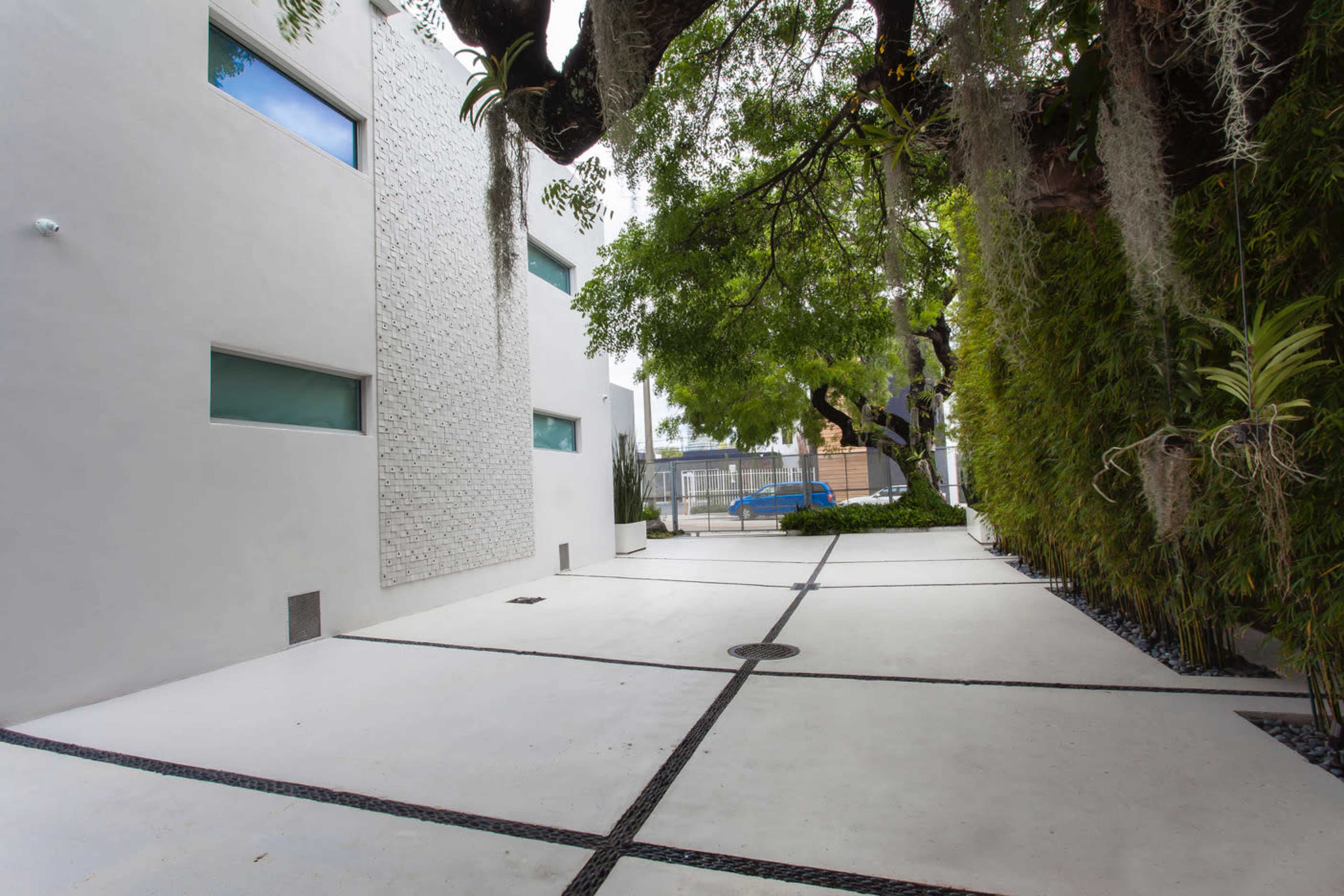 The image shows a modern, minimalistic courtyard featuring white concrete surfaces bordered by lush greenery and a tree with hanging moss.