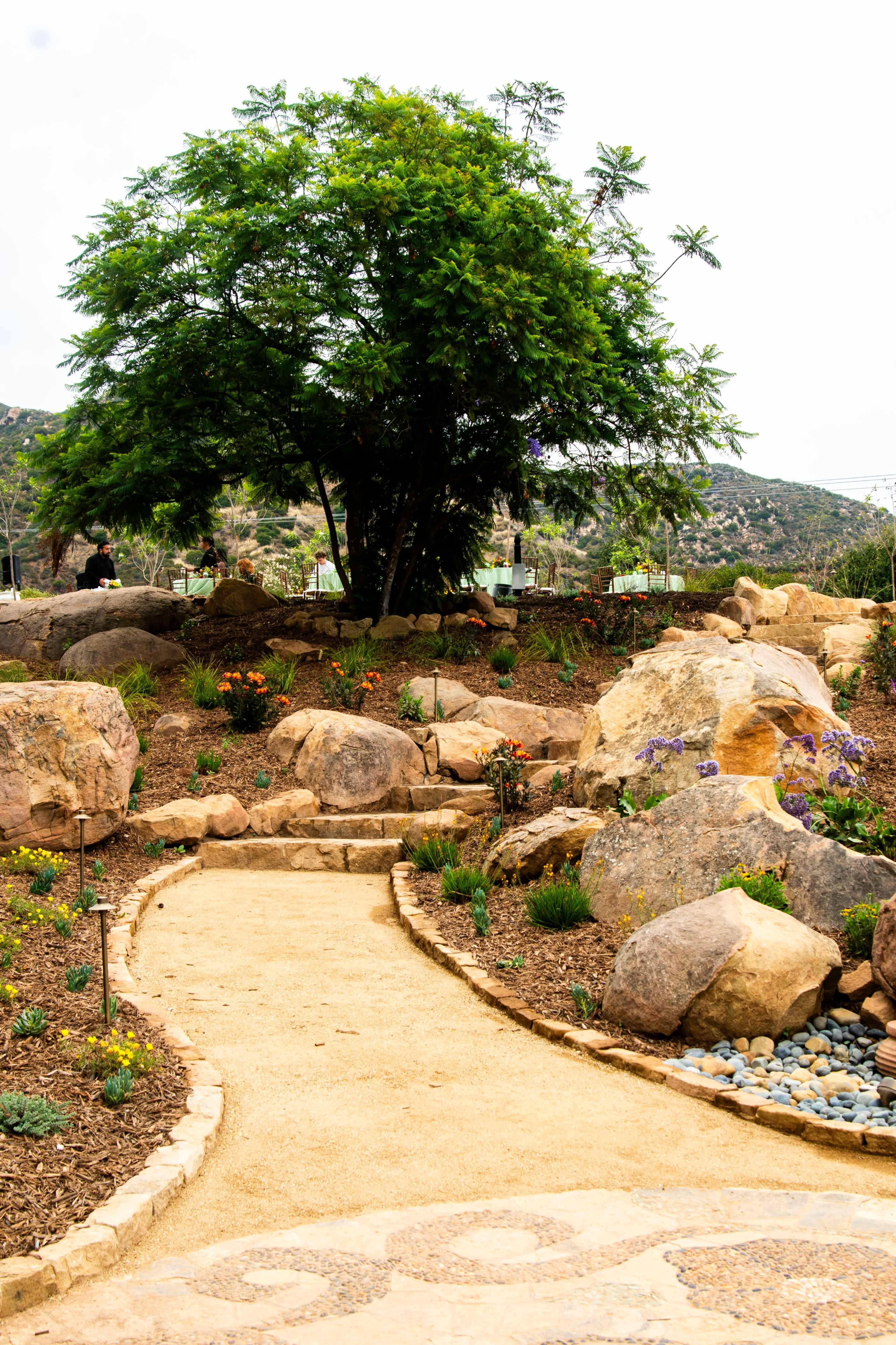 A winding dirt path leads through a landscaped garden featuring large rocks, vibrant flowers, and a prominent green tree.