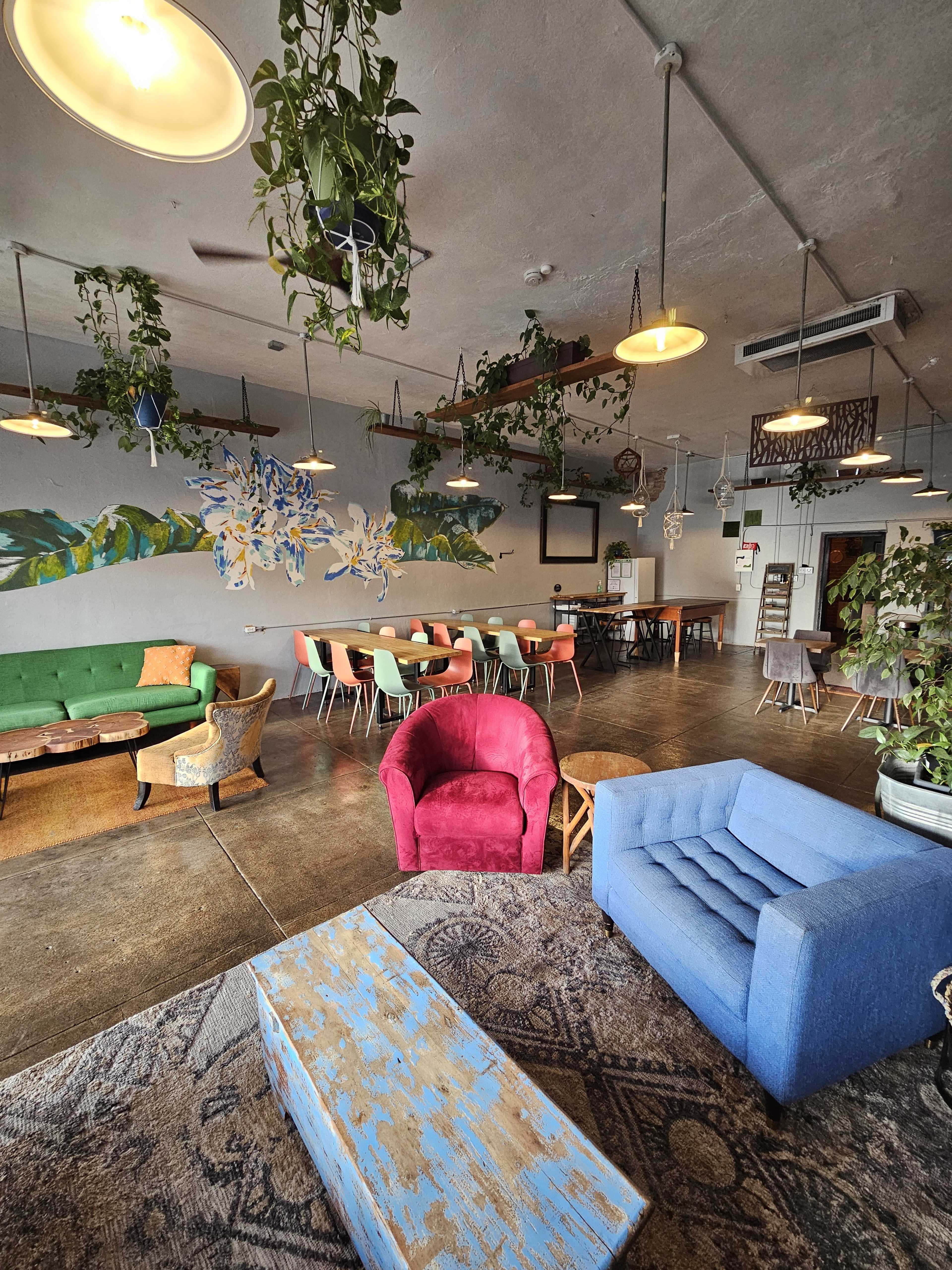The image shows a cozy interior of a café or lounge with colorful seating, hanging plants, and a mix of tables and seating areas.