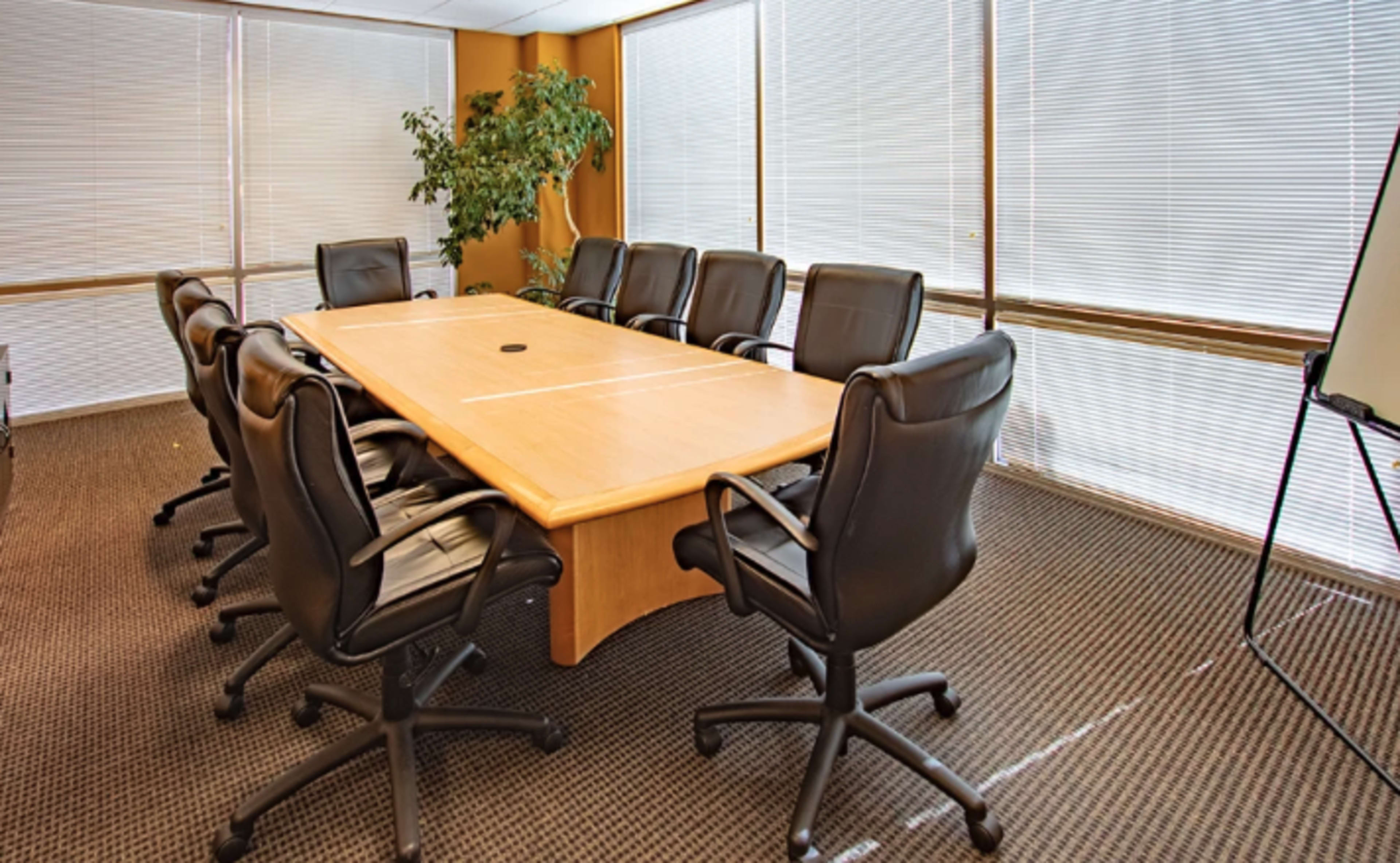 A conference room features a large wooden table surrounded by eight black leather chairs, with large windows covered by blinds and a potted plant in the corner.
