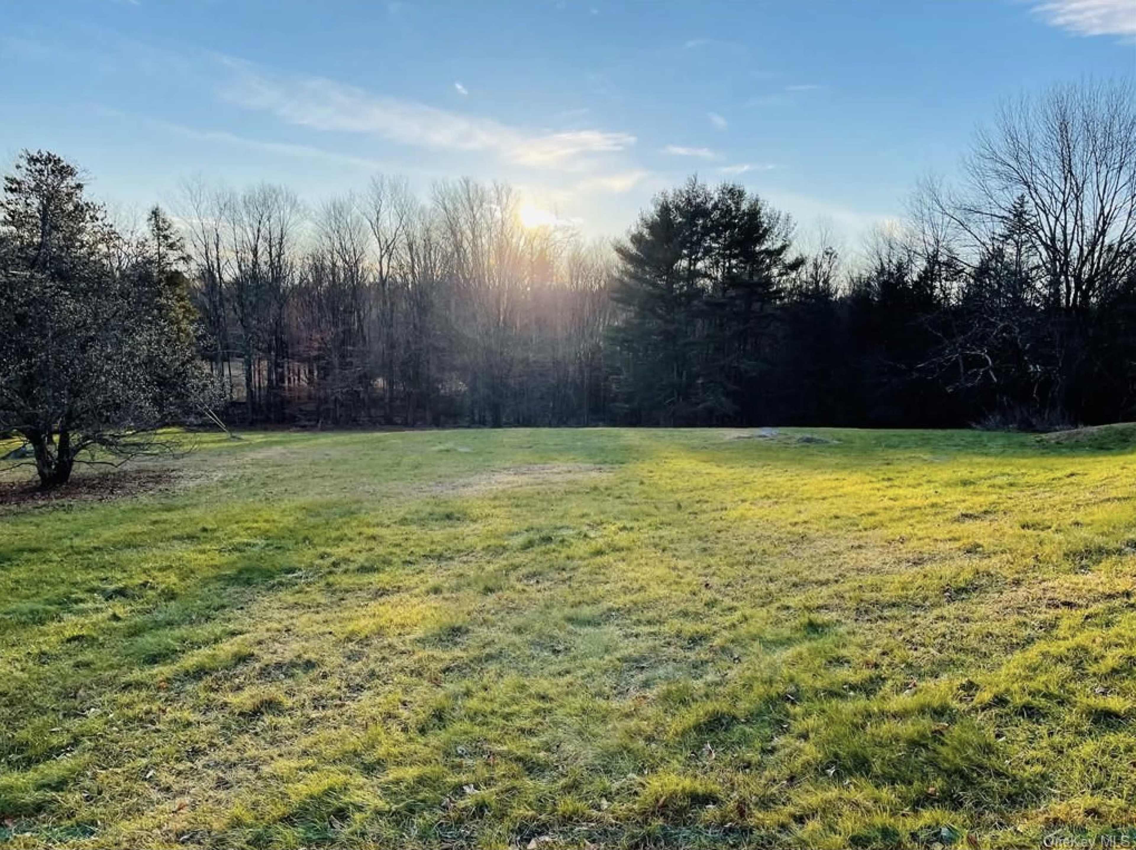 A grassy field extends towards a line of trees under a clear sky with the sun positioned low on the horizon.