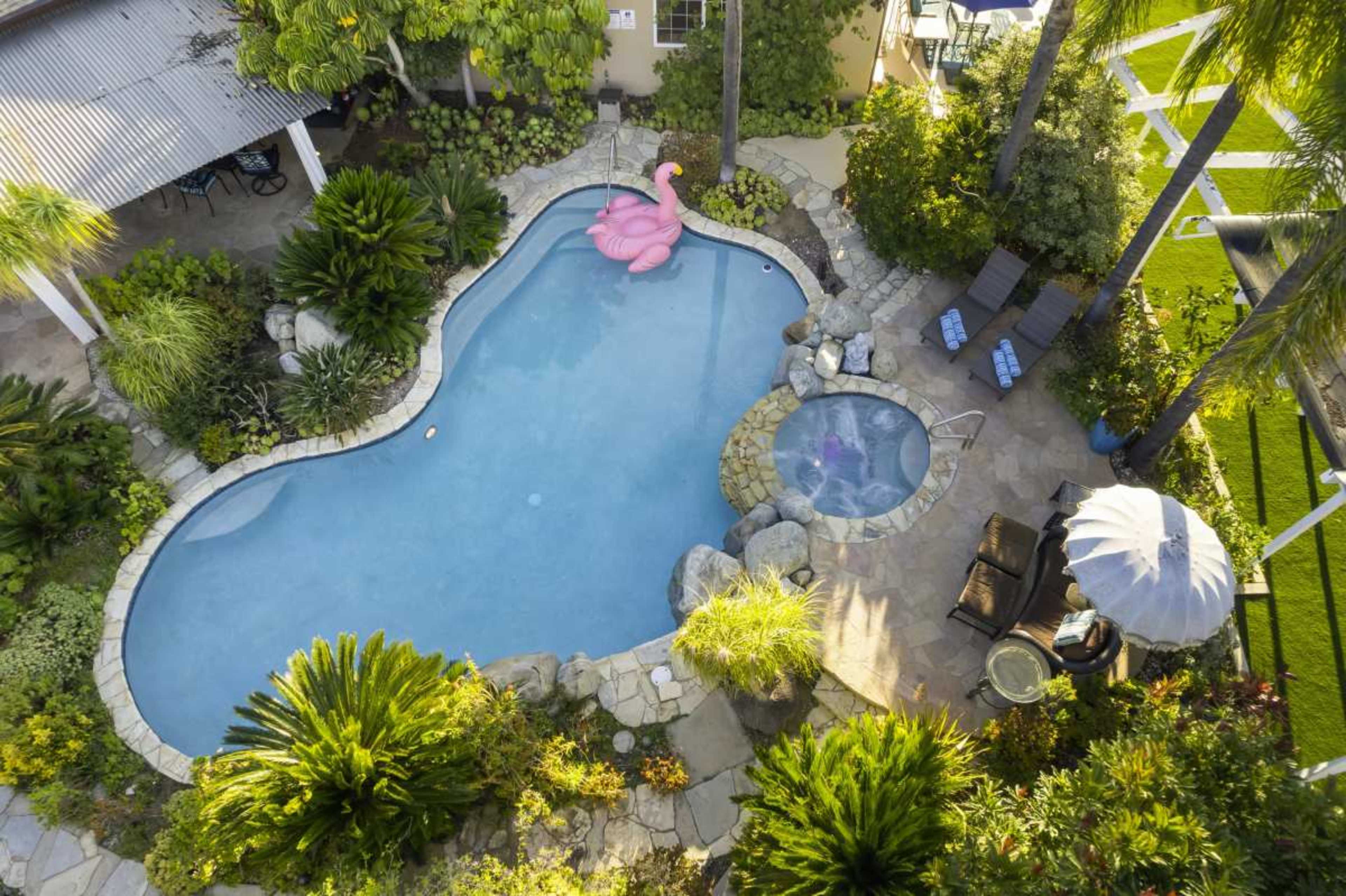 The image shows a beautifully landscaped backyard with a curvy swimming pool, surrounded by tropical plants and featuring a pink flamingo float, along with a hot tub and seating area.