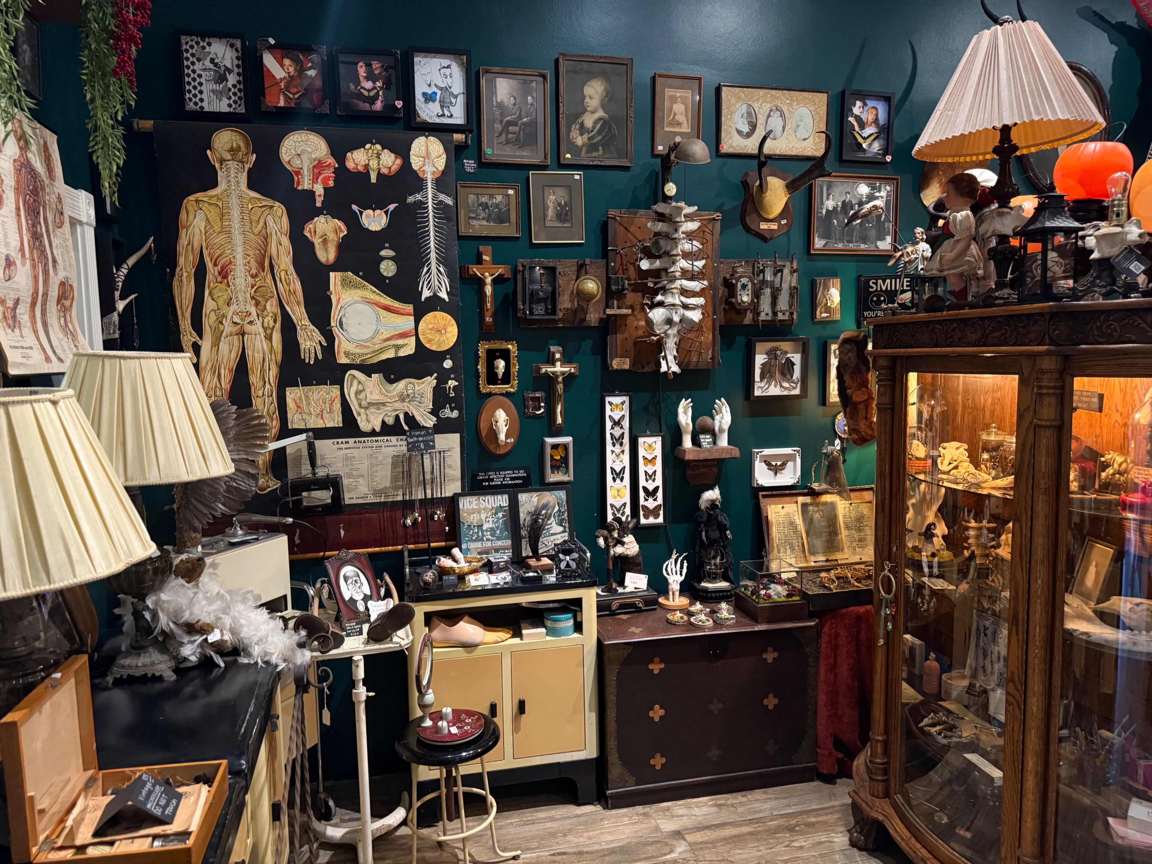 Whimsical Gothic Antiques, Vintage, & Oddities Shop Image in Granada Hills, Granada Hills, CA