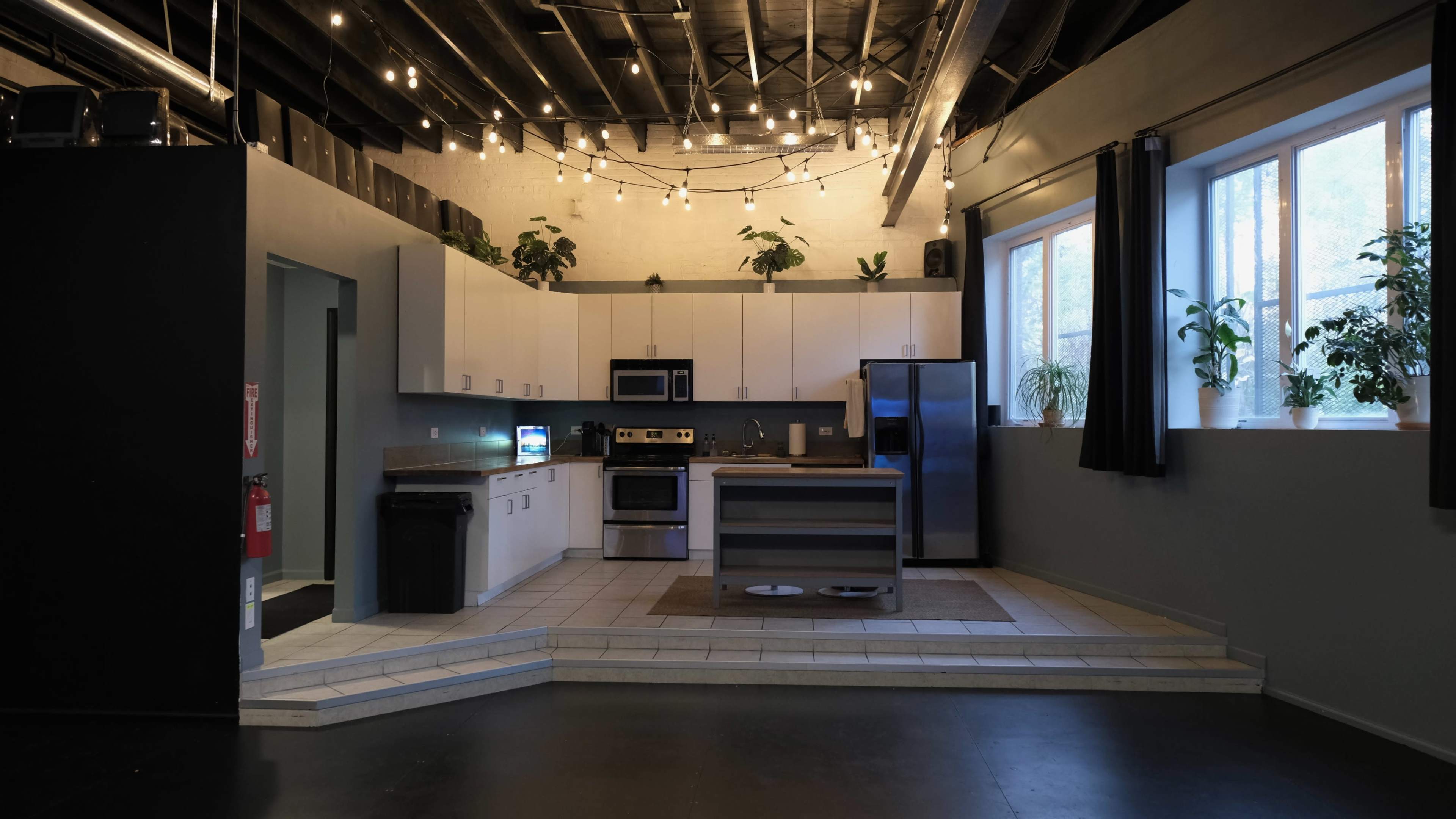The image shows a kitchen area with modern appliances, a large countertop, and plants placed on the shelves and windowsills, all under hanging lights.