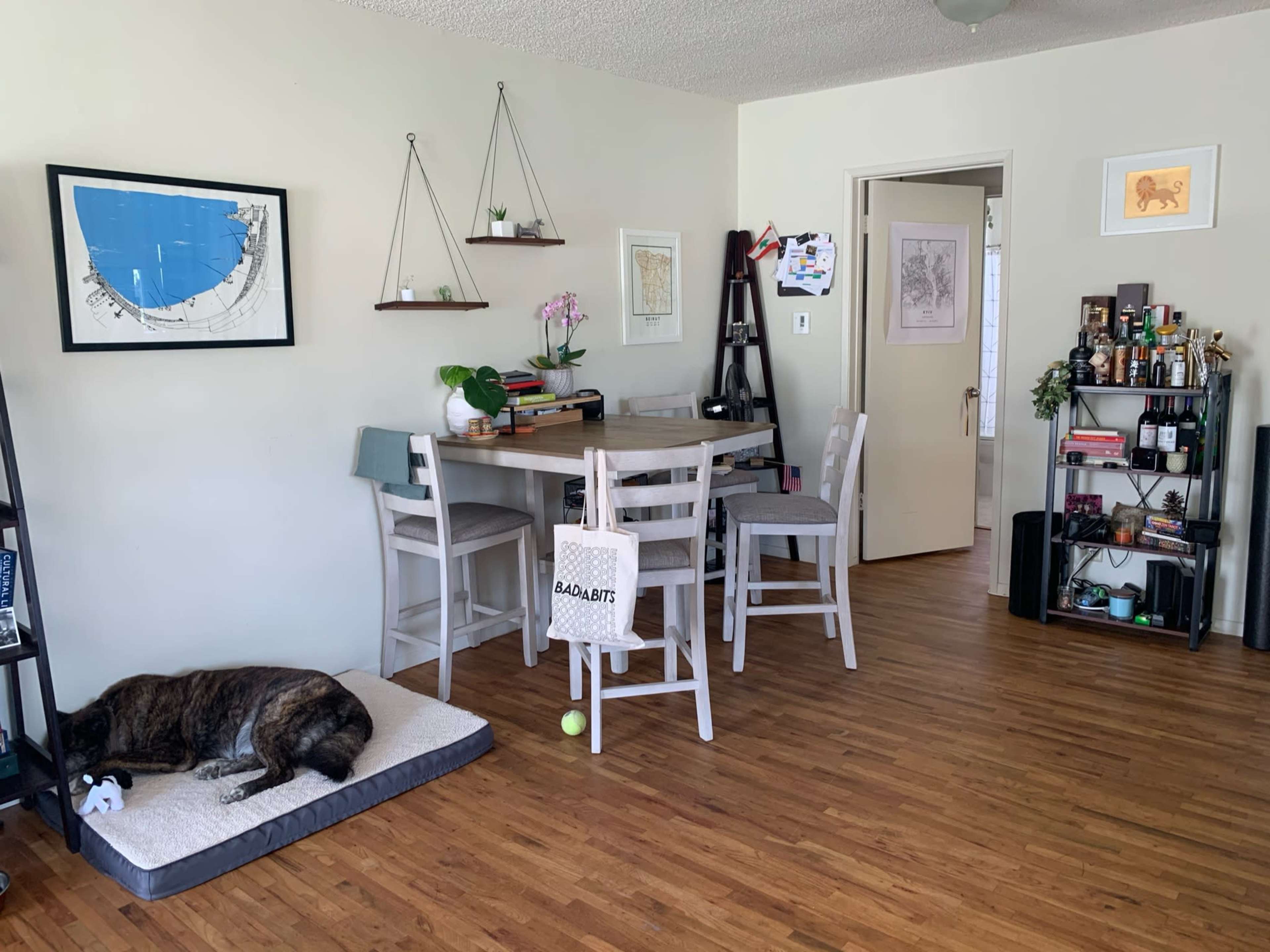 A cozy living space features a dining area with a table and chairs, a dog resting on a bed, and shelves displaying decor and plants.