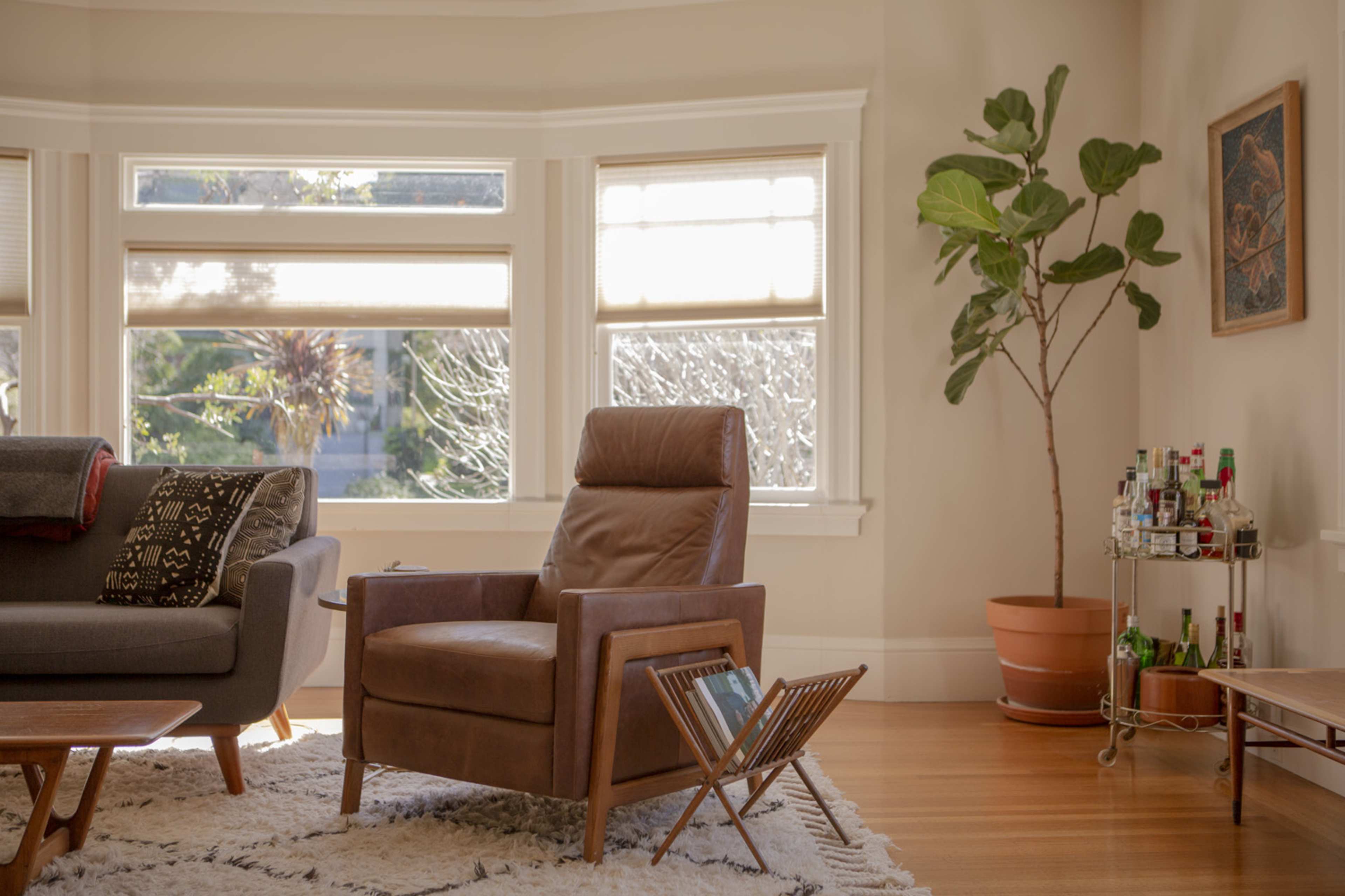 The image shows a living room with a brown leather armchair, a gray sofa, a plant in a pot, and a shelving unit displaying various bottles near the windows.
