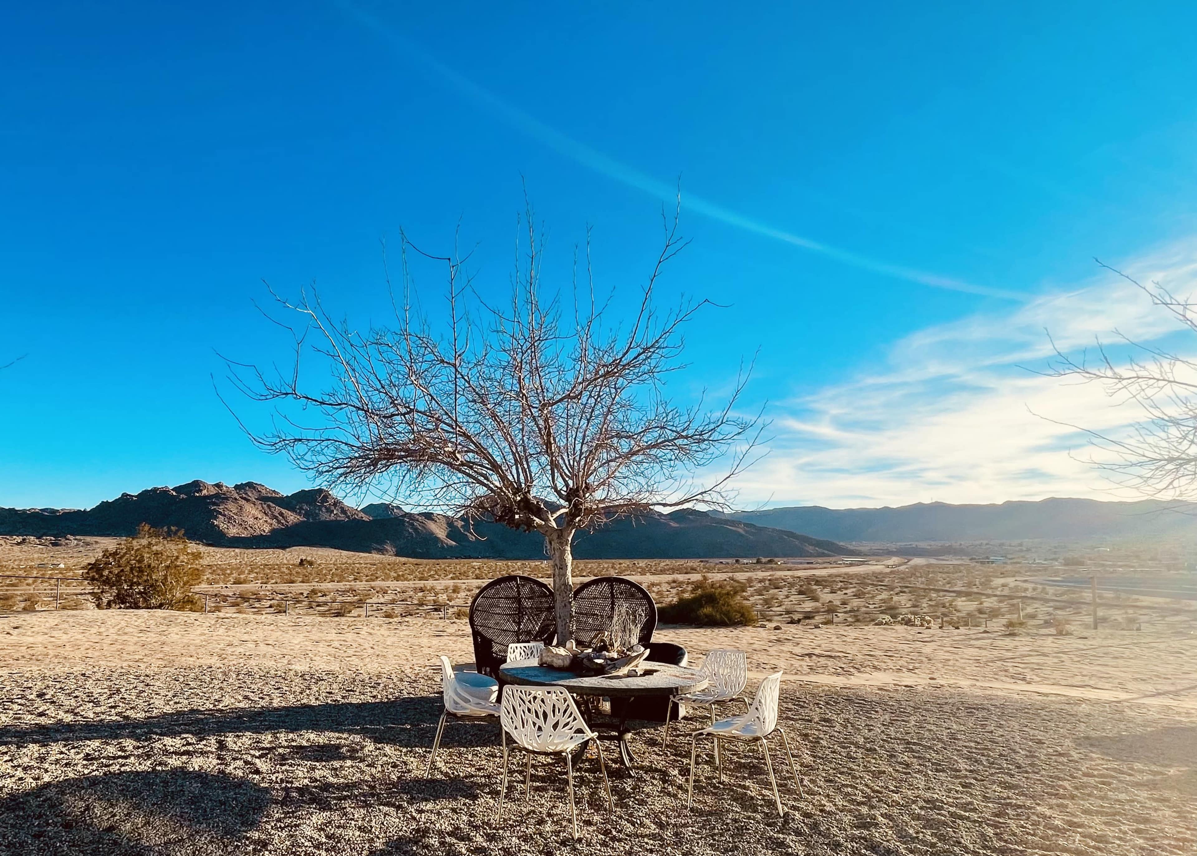 A barren tree stands next to a dining table and chairs in a desert landscape with mountains in the background.