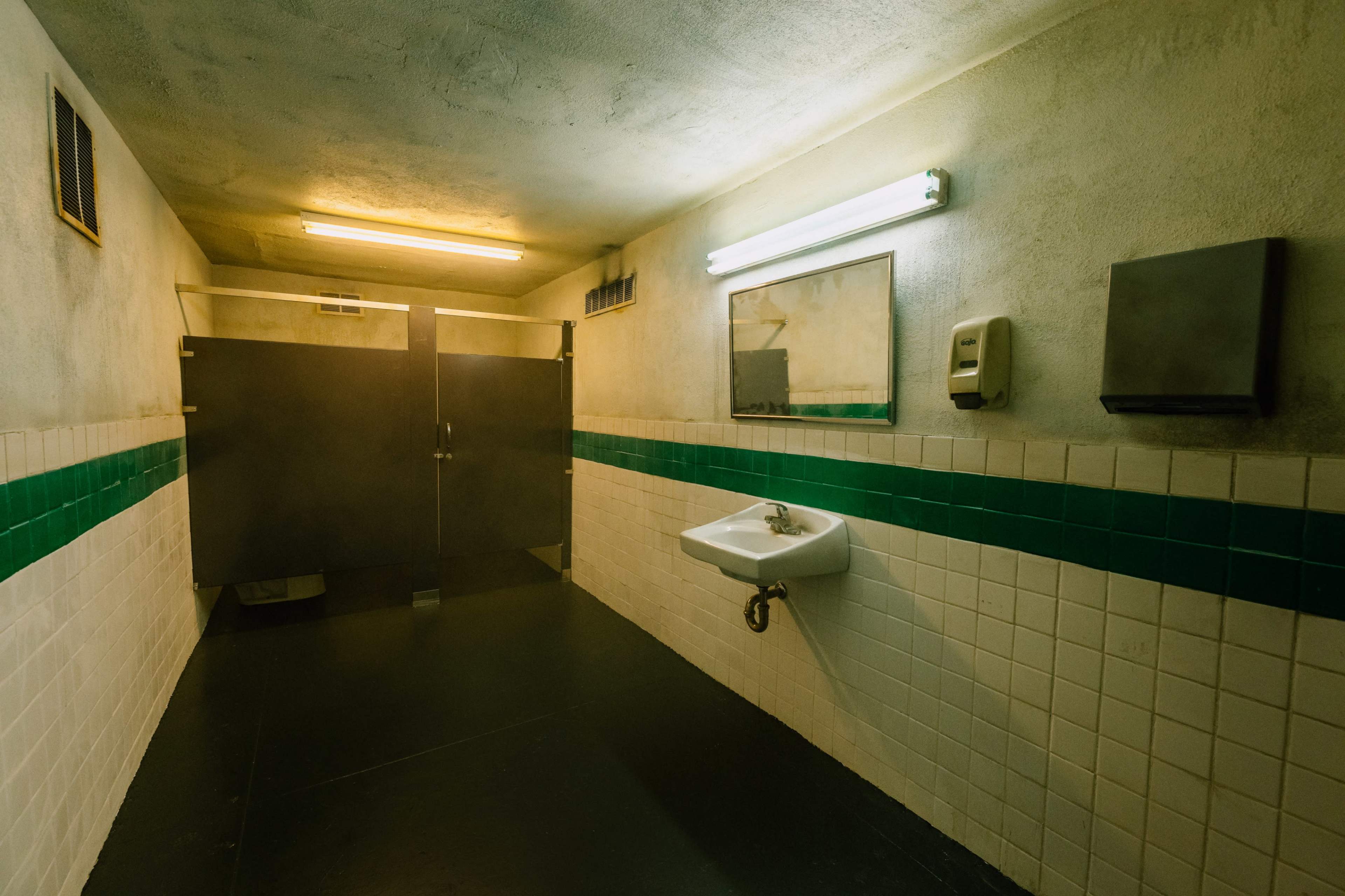 A dimly lit restroom features a single sink, a large stall with a closed door, and tiled walls with a green stripe.