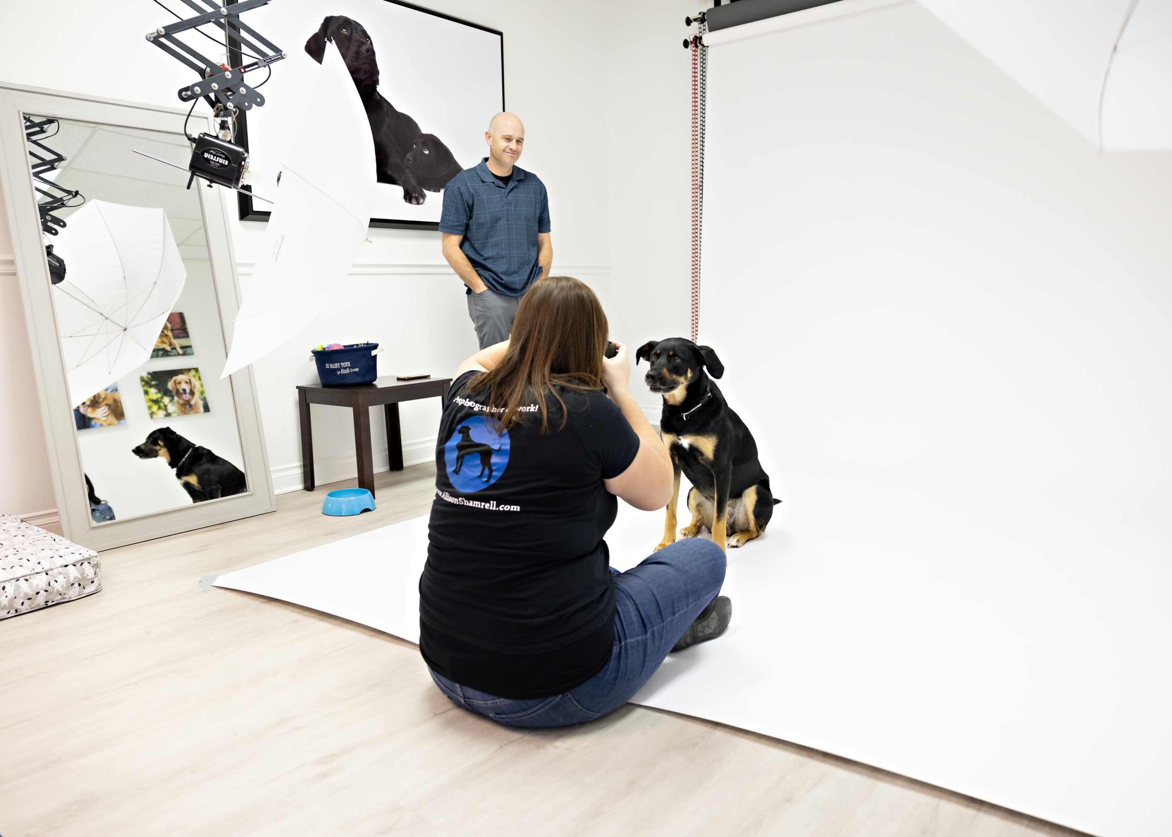 A photographer captures a dog sitting on a white backdrop in a studio, while a person in a black shirt crouches to engage with the pet.