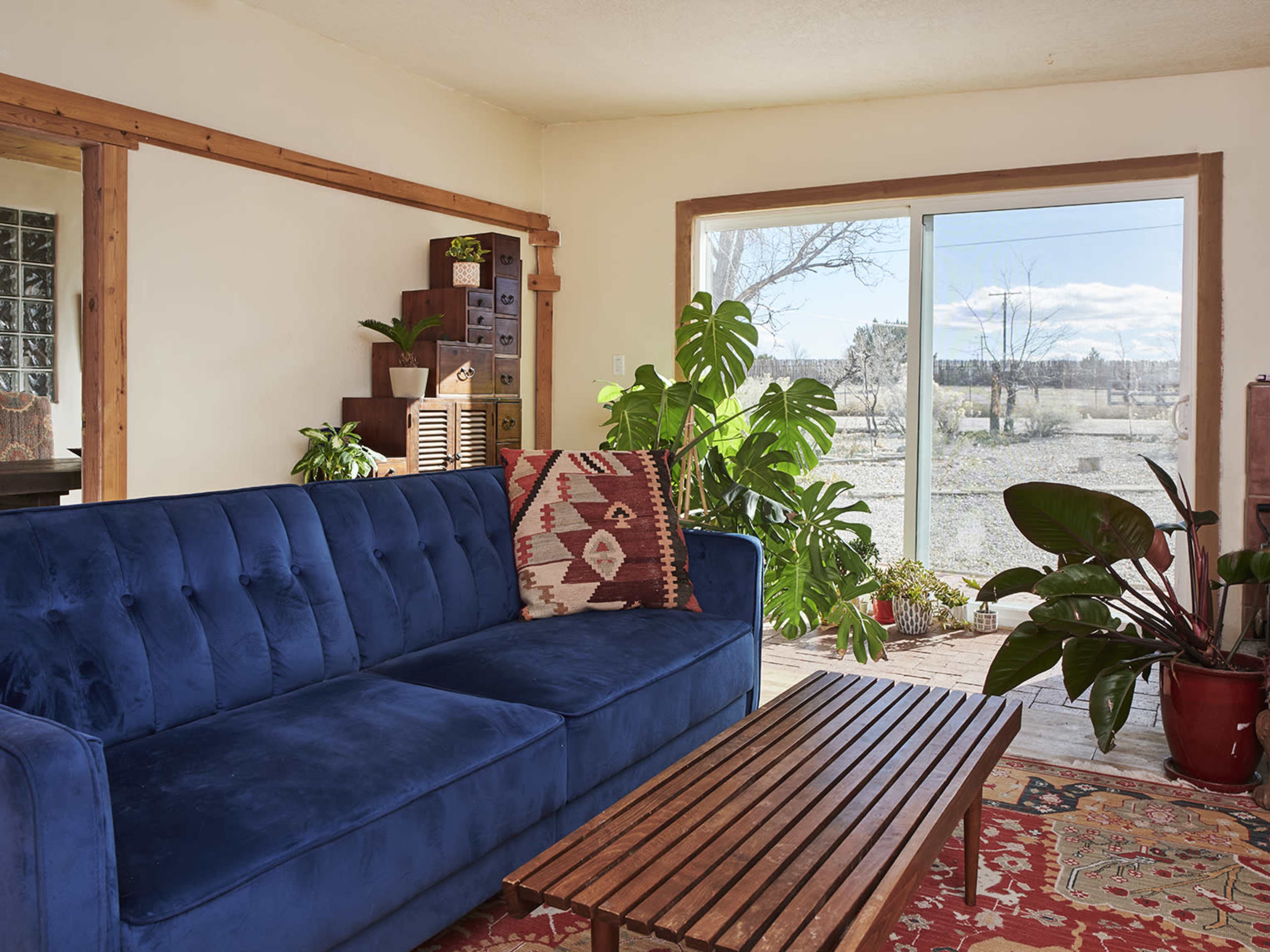 A blue couch is positioned in a bright living room with a wooden coffee table and large windows overlooking an outdoor area filled with plants.
