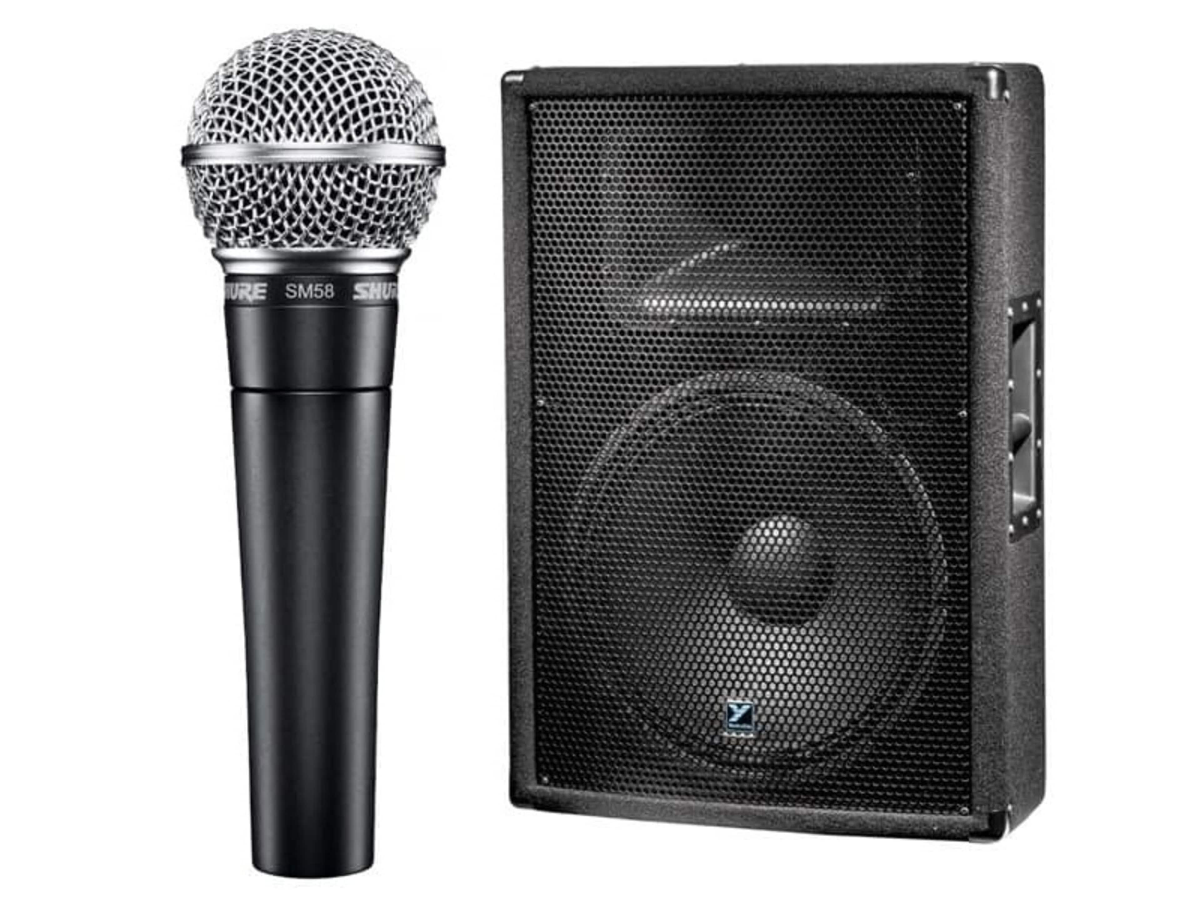 Mic with attached speaker
