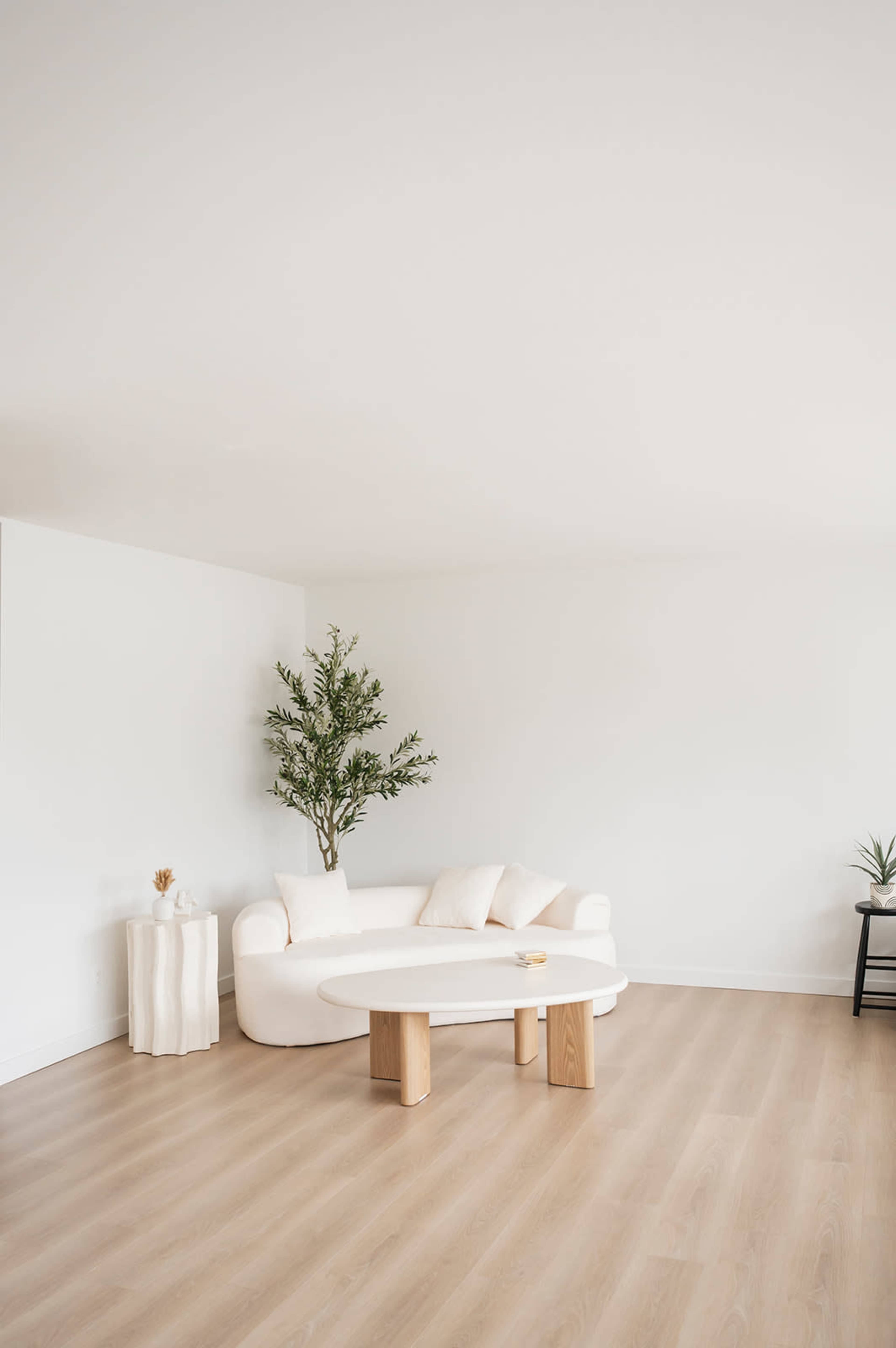 A minimalist living room features a white curved sofa, a round coffee table, a small plant, and light hardwood flooring.