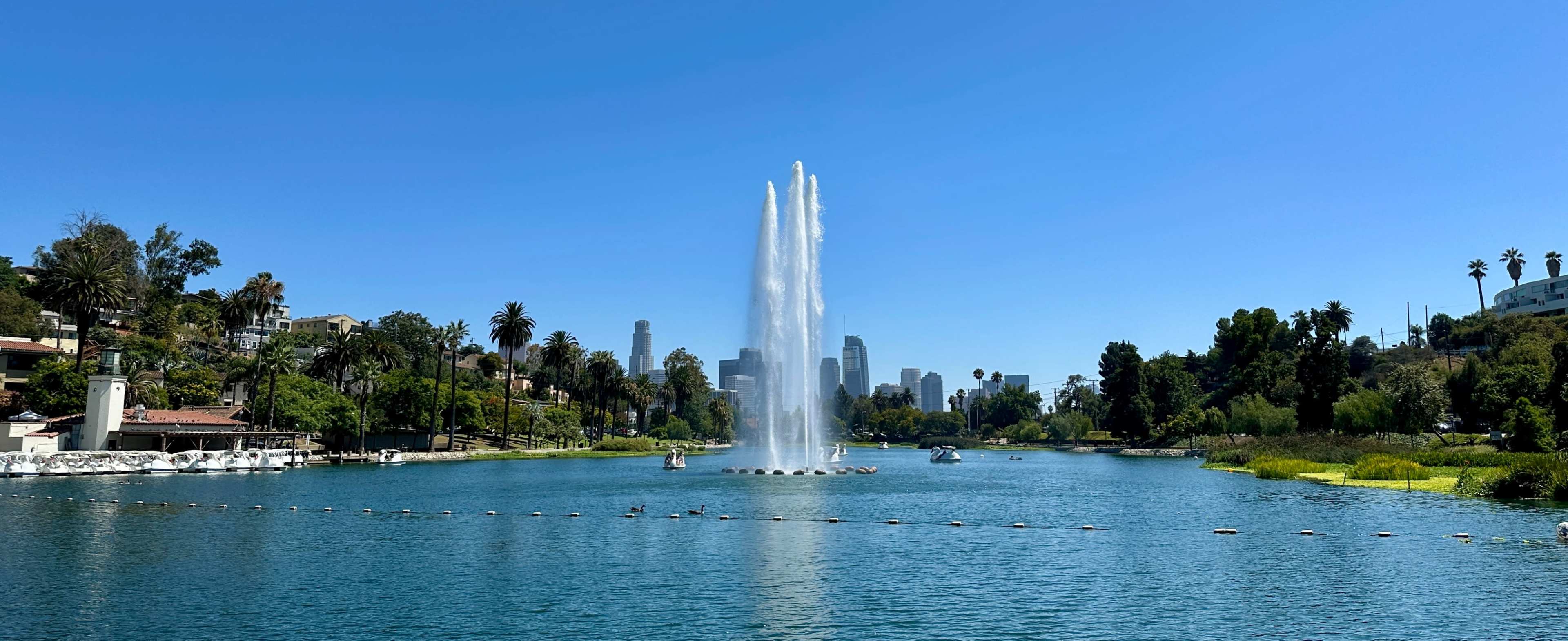 A fountain sprays water into the air in a lake surrounded by greenery and city skyline in the background.