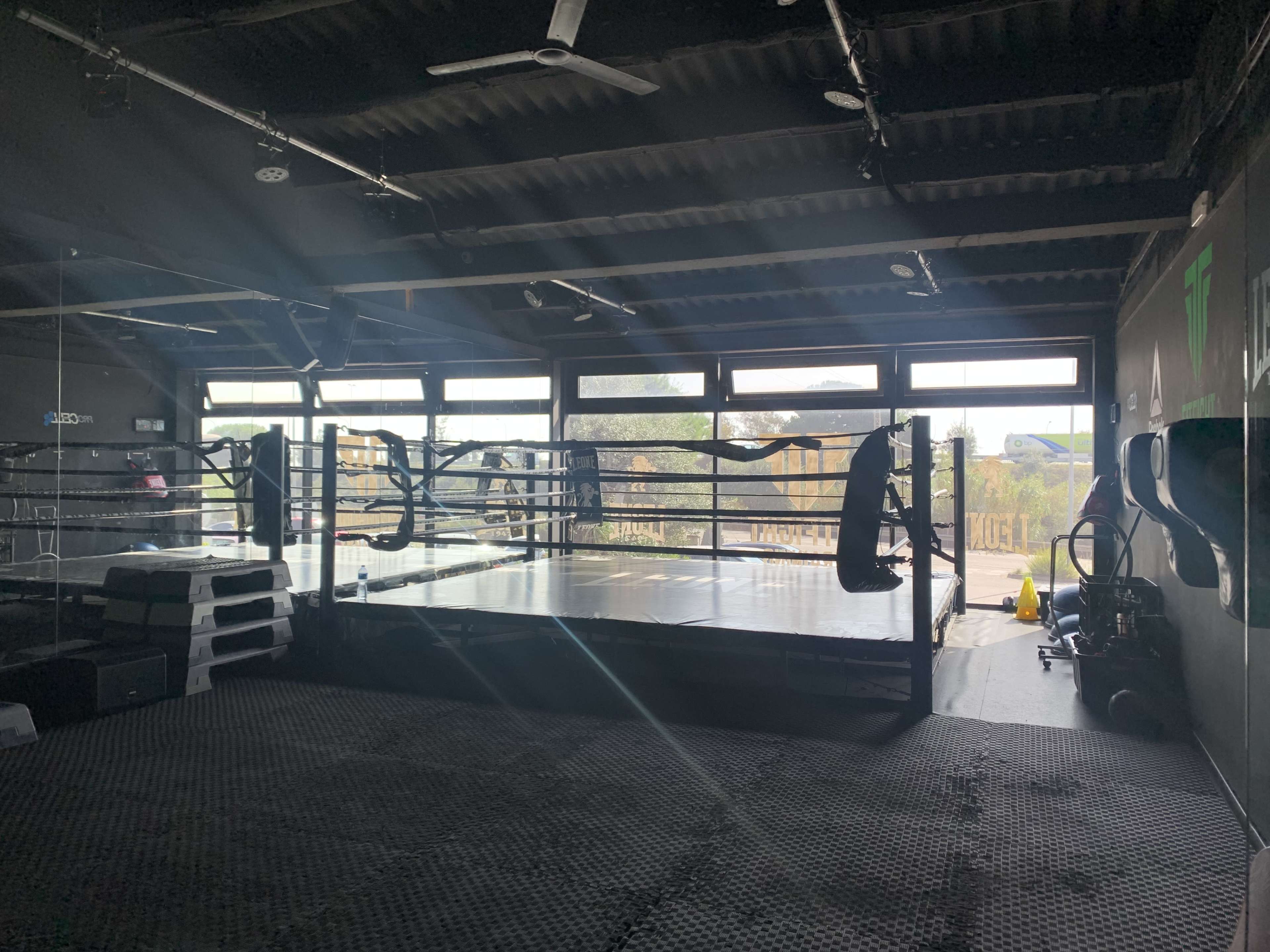 A boxing gym with a boxing ring illuminated by sunlight streaming through large windows.