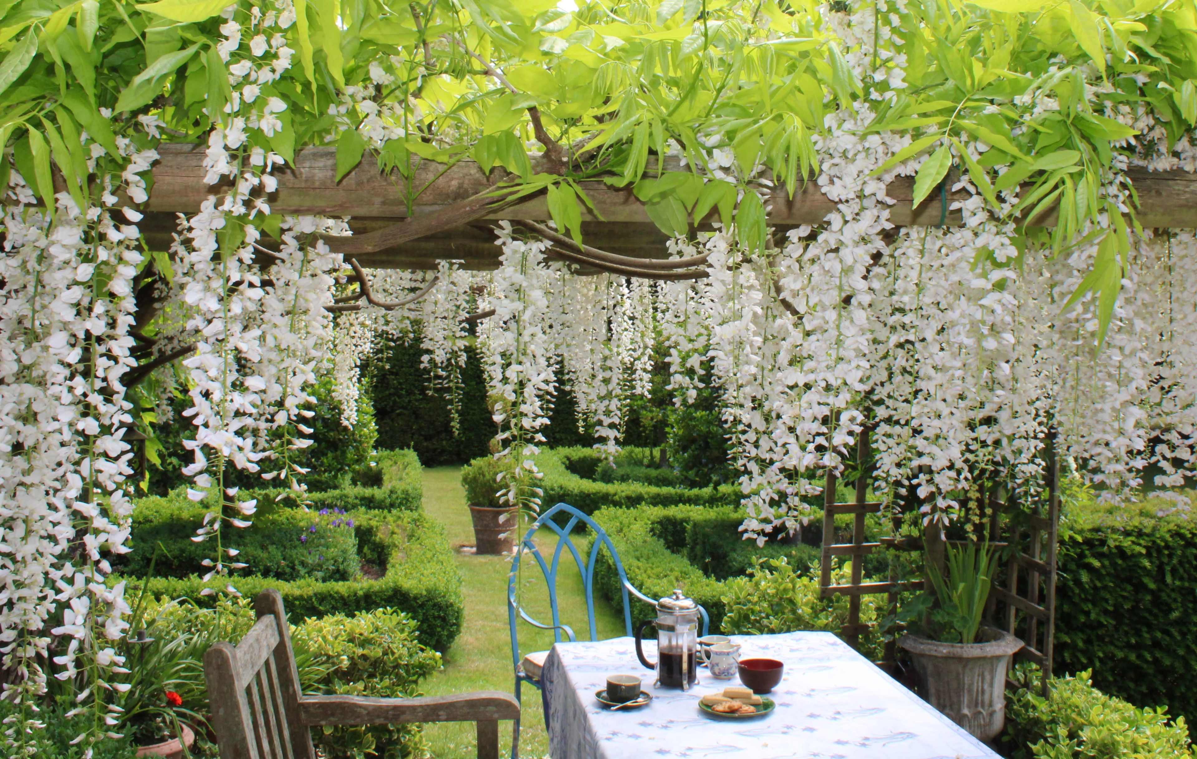 A table set for tea sits under a pergola adorned with cascading white flowers, overlooking a neatly manicured garden.