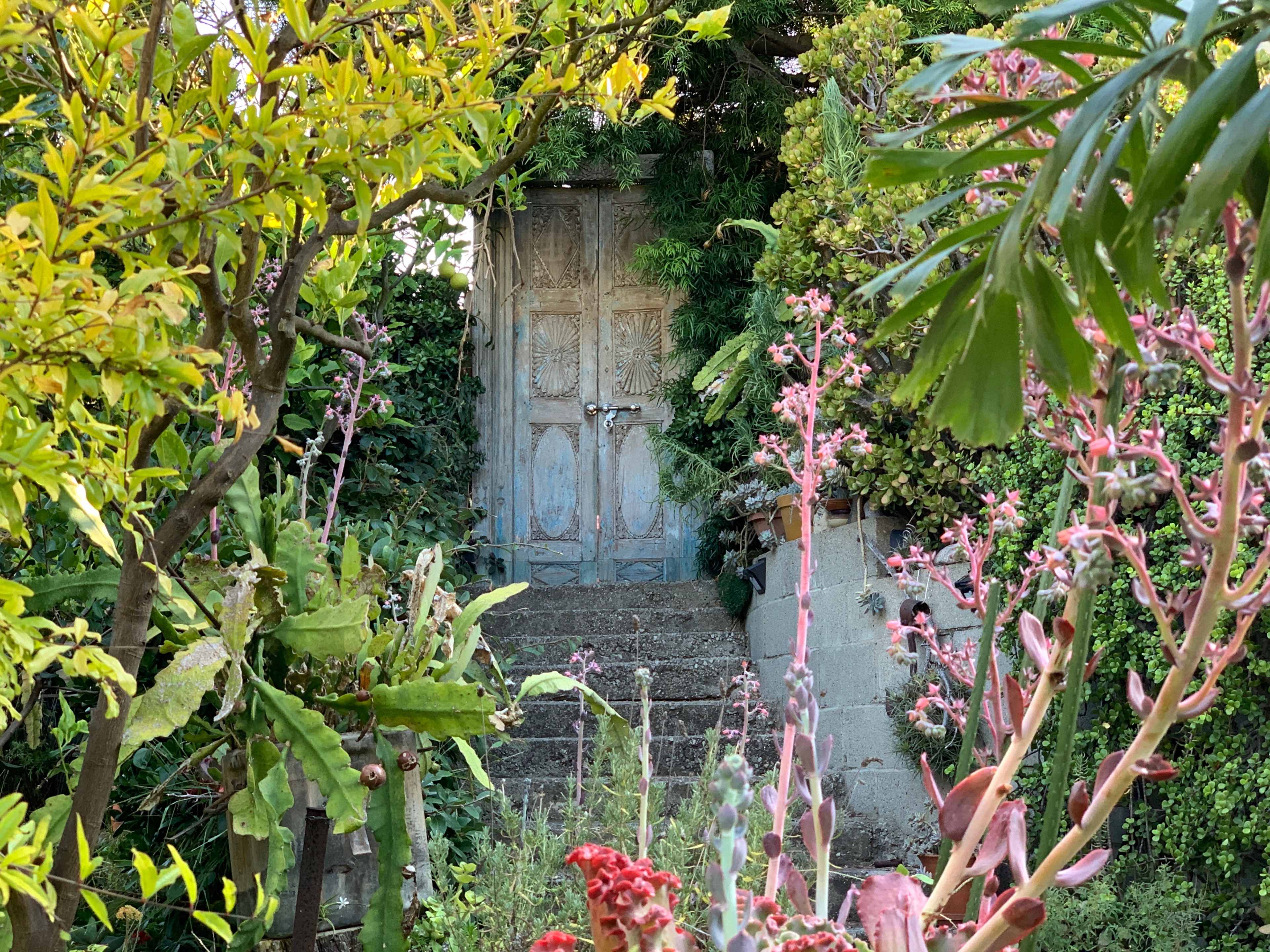 A weathered wooden door sits at the top of a stone stairway, surrounded by lush greenery and vibrant plants.