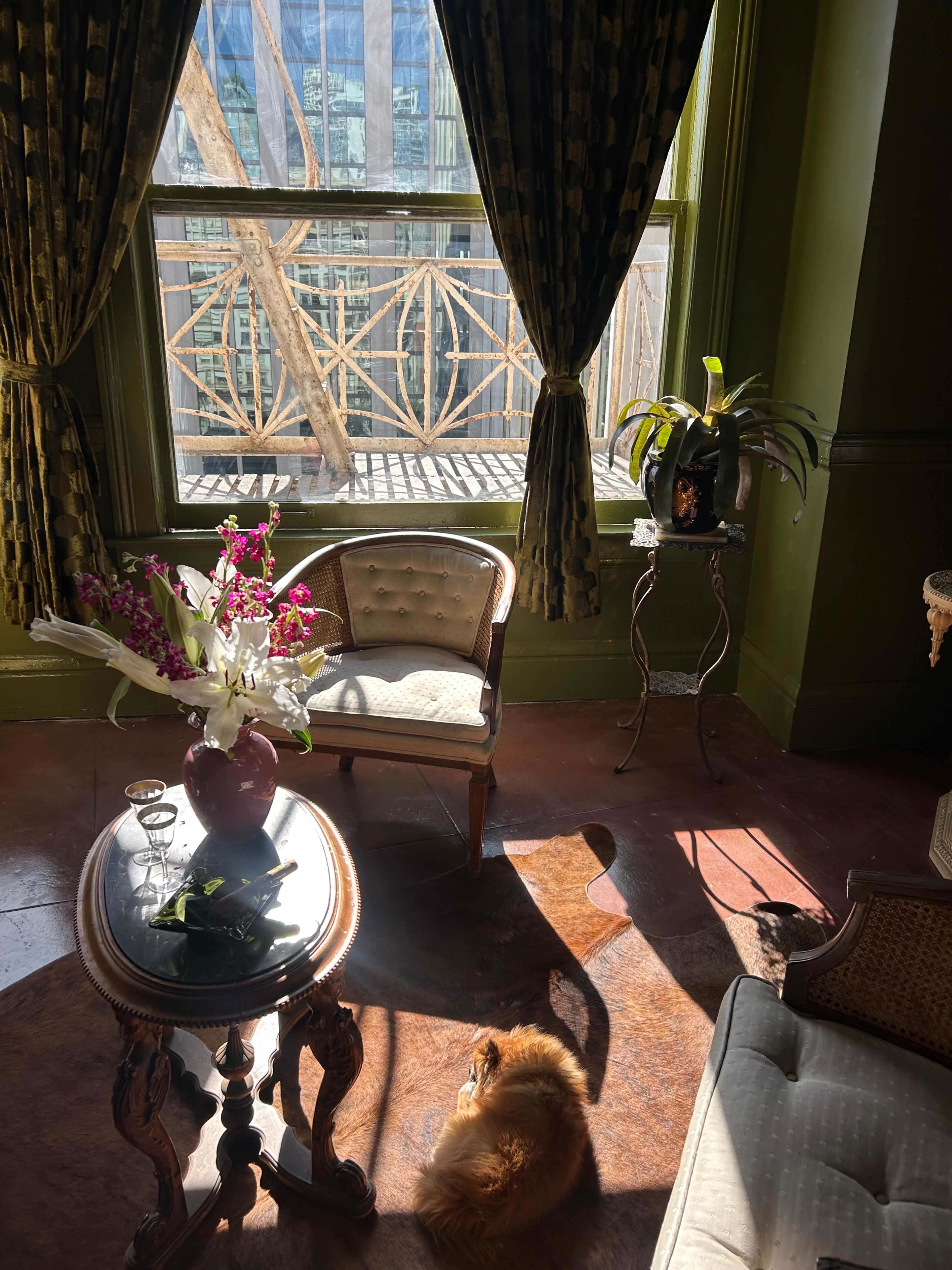A sunlit room features a small table with a vase of flowers, a chair, and a cat resting on the floor near a large window overlooking a construction site.