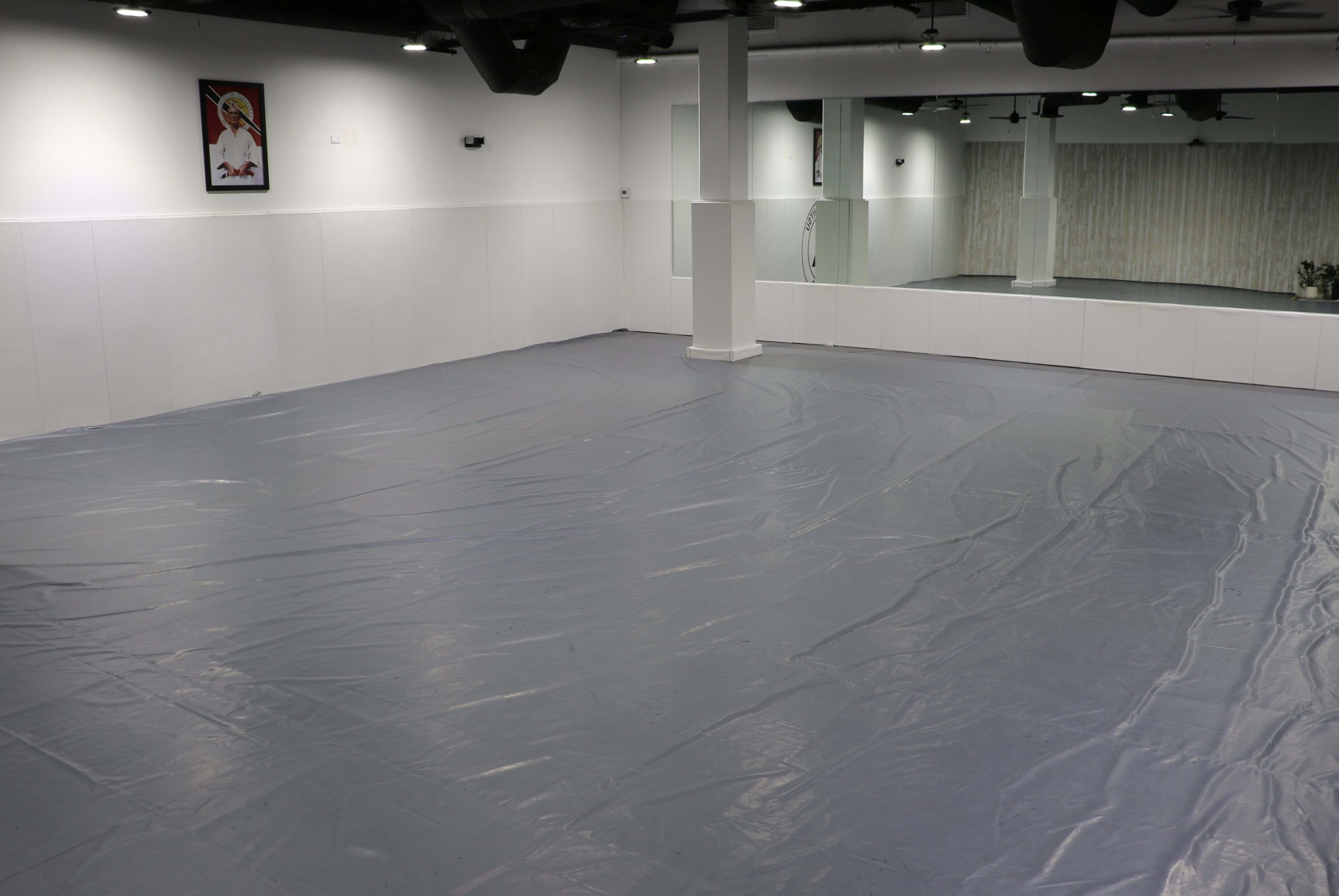 The image shows an empty room with a gray plastic floor covering, mirrored walls, and a framed picture hanging on the wall.