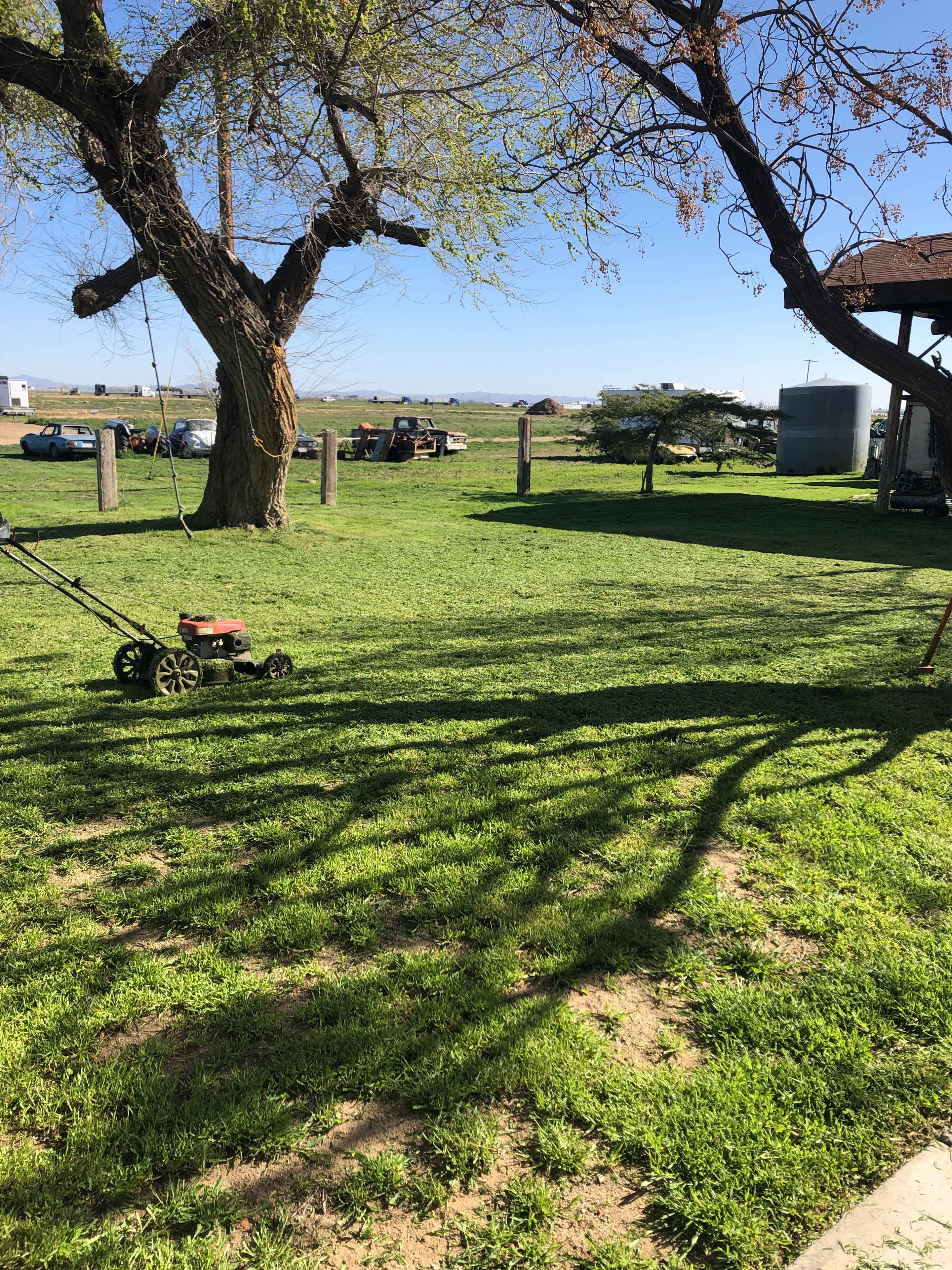 A lawn mower is parked on a grassy area beneath two large trees, with their shadows stretching across the ground.