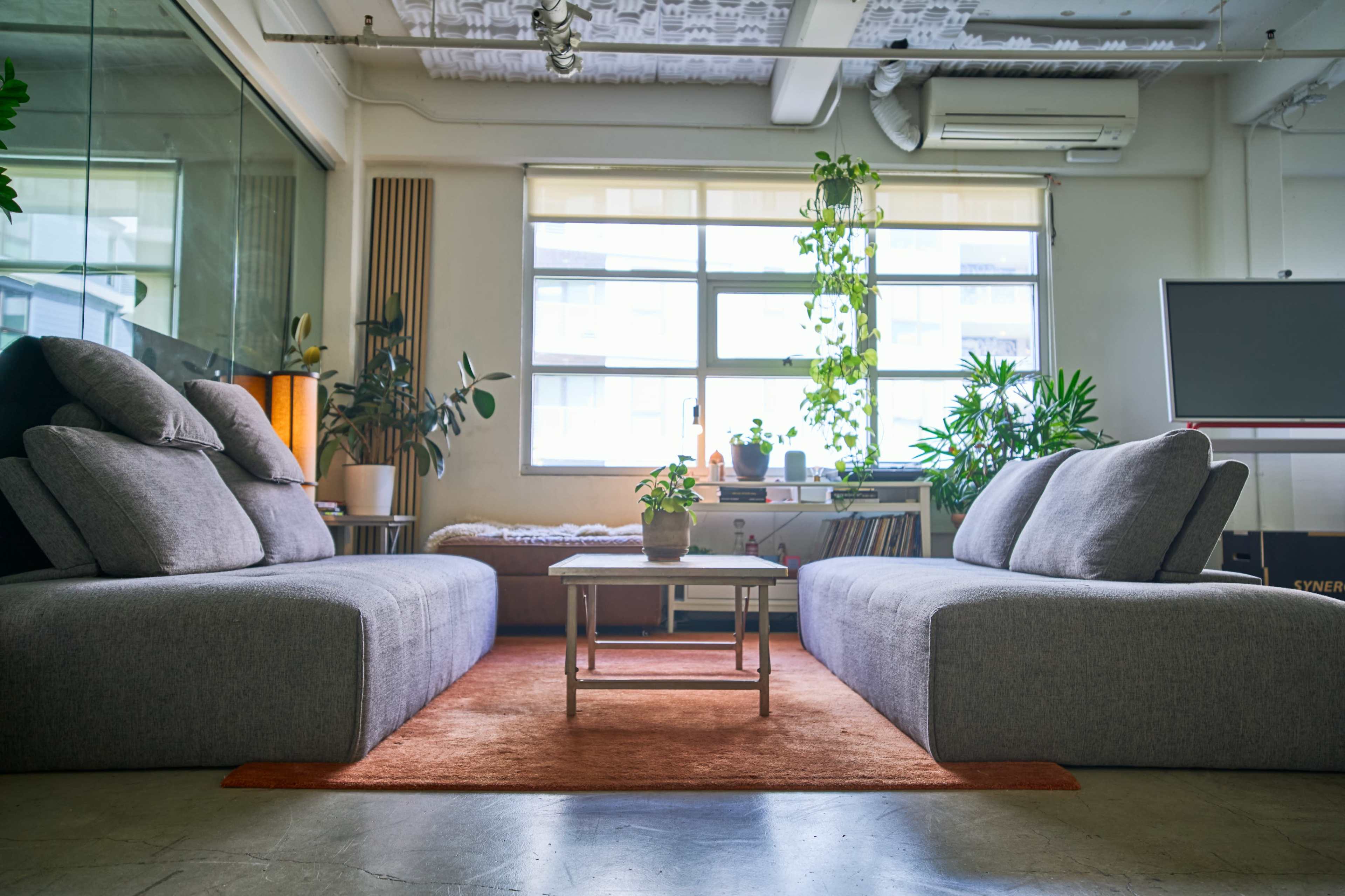 The image shows a stylish living room with two gray sofas facing a small white coffee table, surrounded by plants and large windows allowing natural light in.