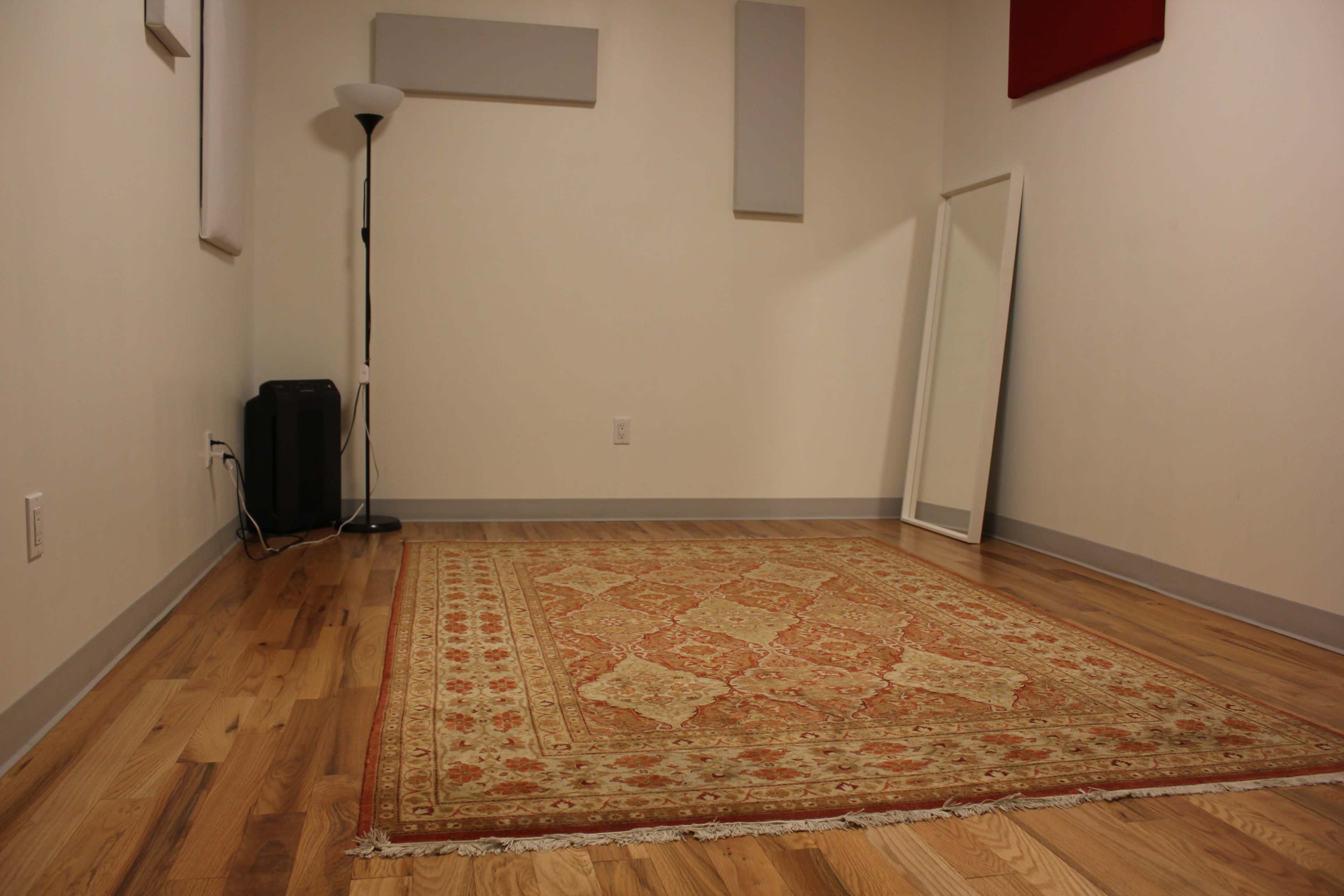 An empty room with hardwood flooring, a large patterned area rug in the center, a floor lamp, and a freestanding mirror against the wall.
