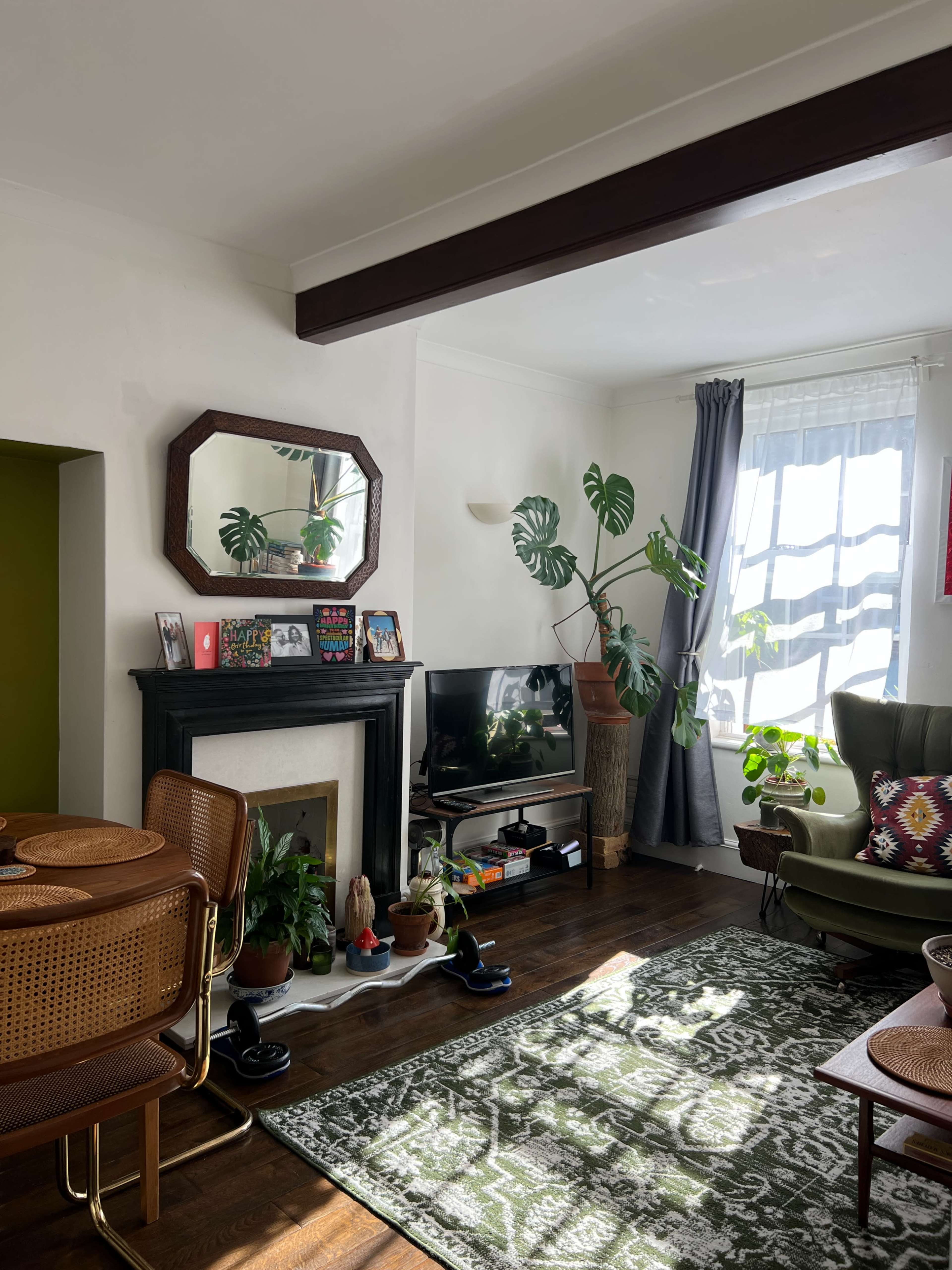 The image shows a living space featuring a green armchair, a television unit, a fireplace with decorative items, and several indoor plants, with sunlight streaming through the window.