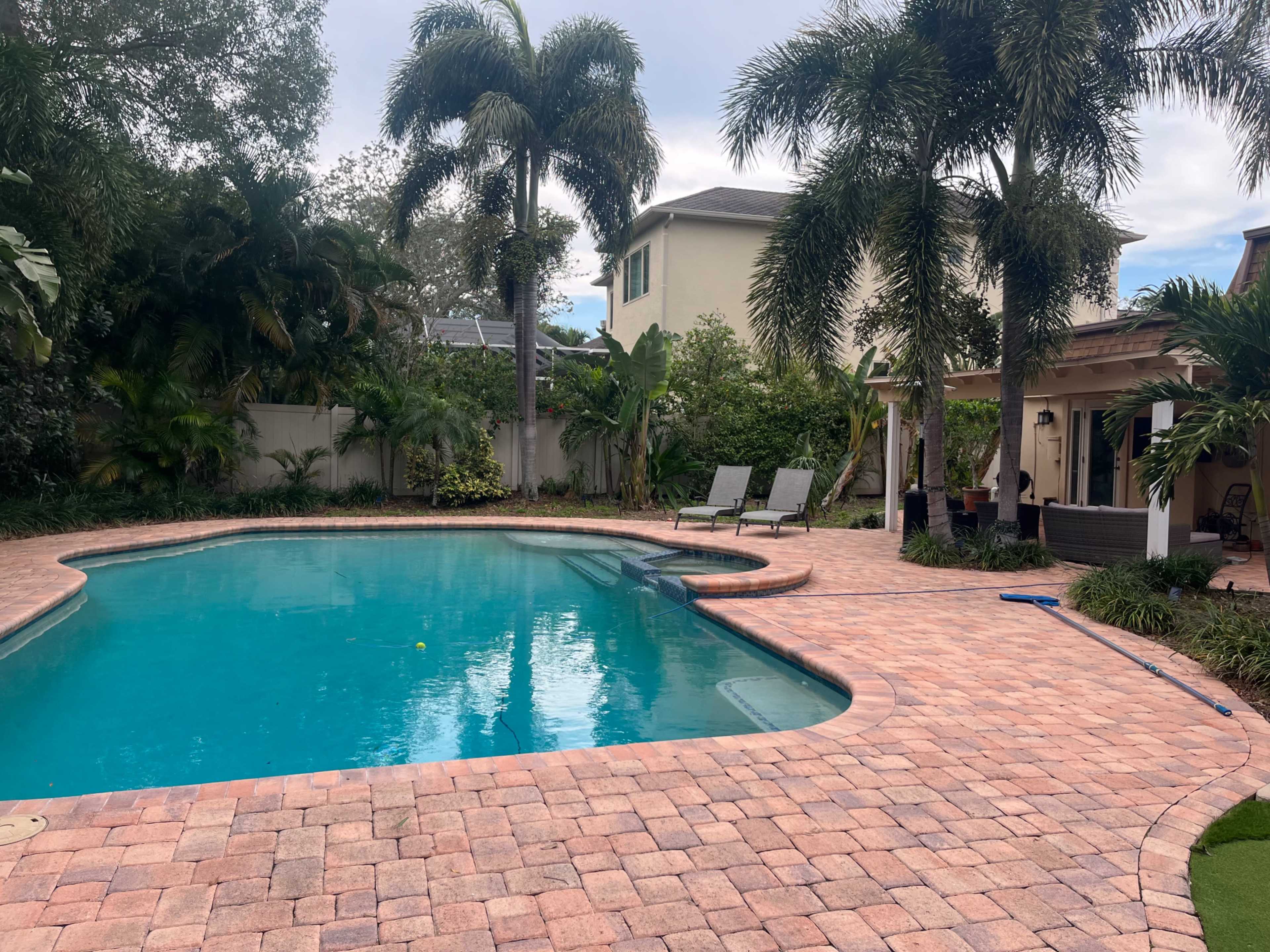 A clear swimming pool surrounded by palm trees and loungers on a stone patio.