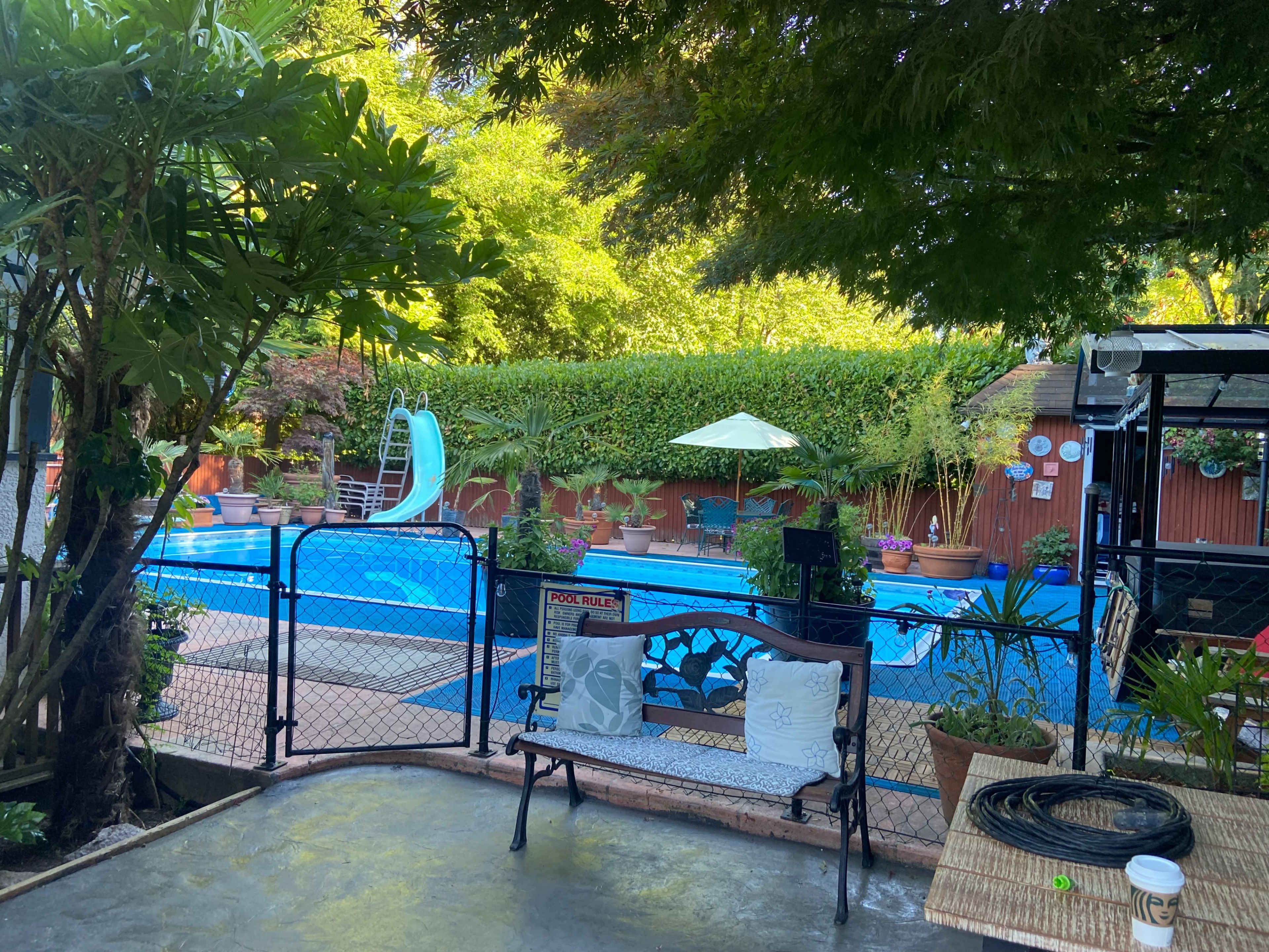 A backyard scene features a swimming pool surrounded by greenery, a slide, and lounge chairs.