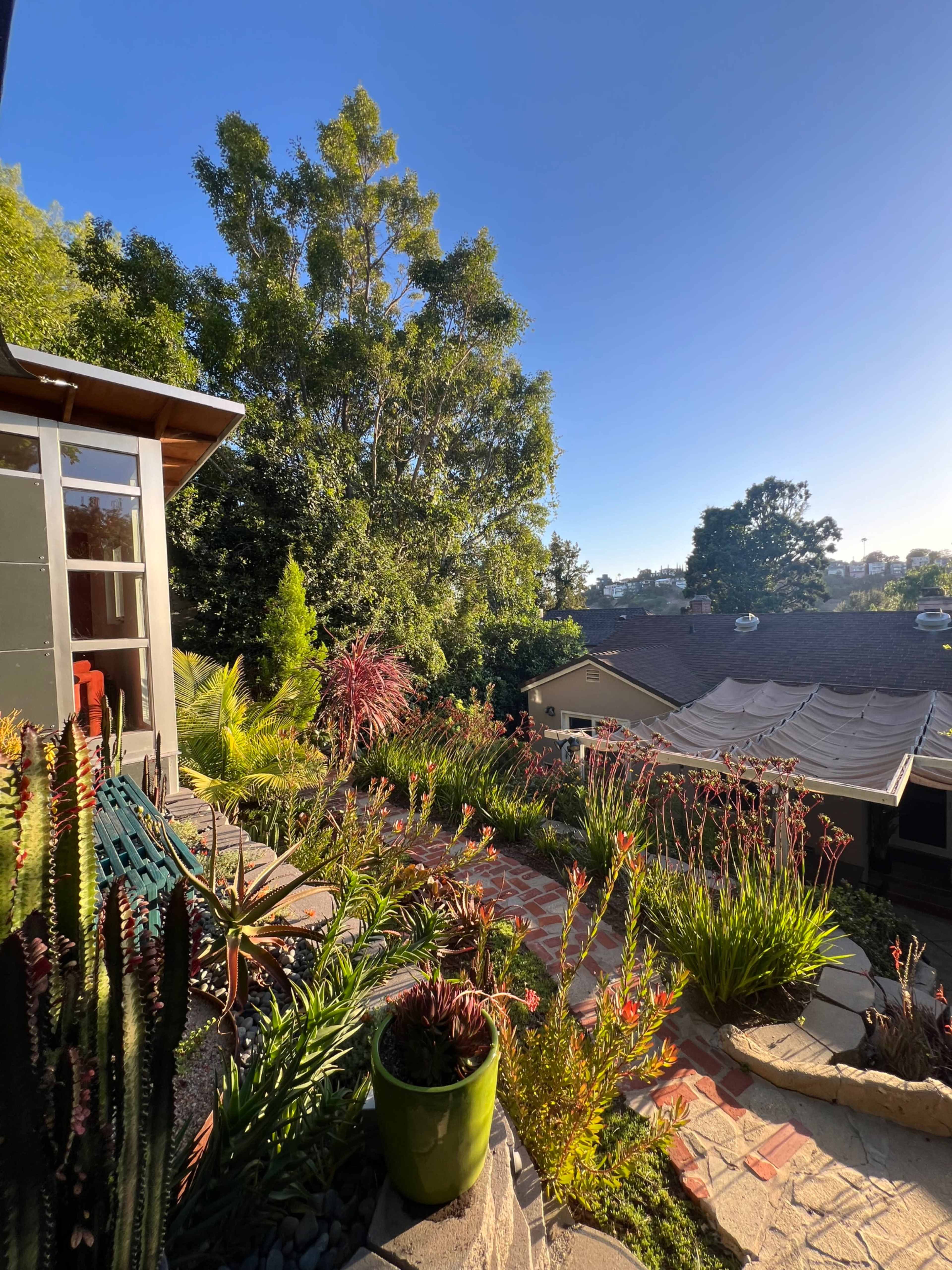 A landscaped garden features various plants and flowers, with a clear blue sky overhead and a view of houses in the distance.