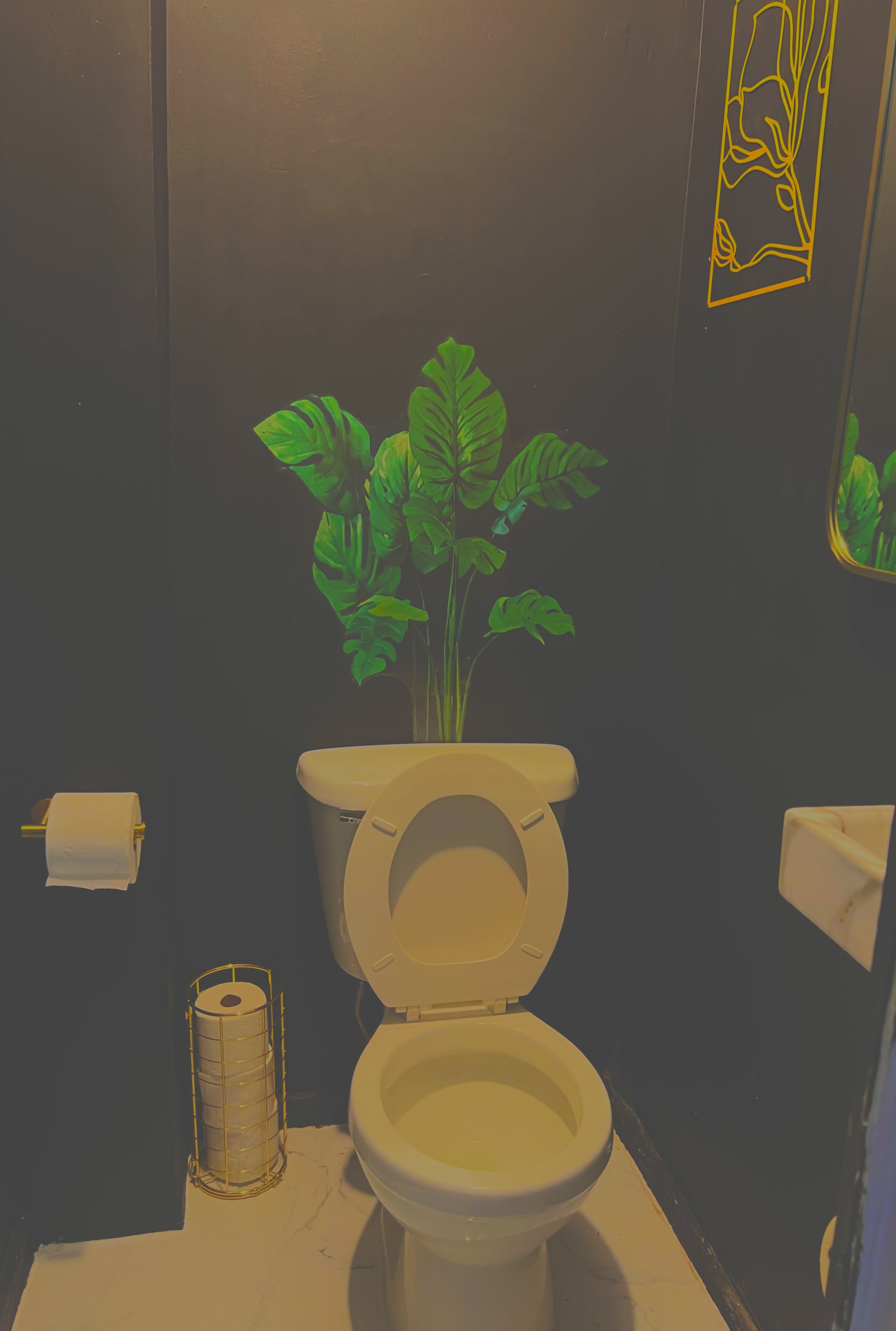 A bathroom with a black wall, a white toilet, a potted plant above it, and a mirror above a small sink.