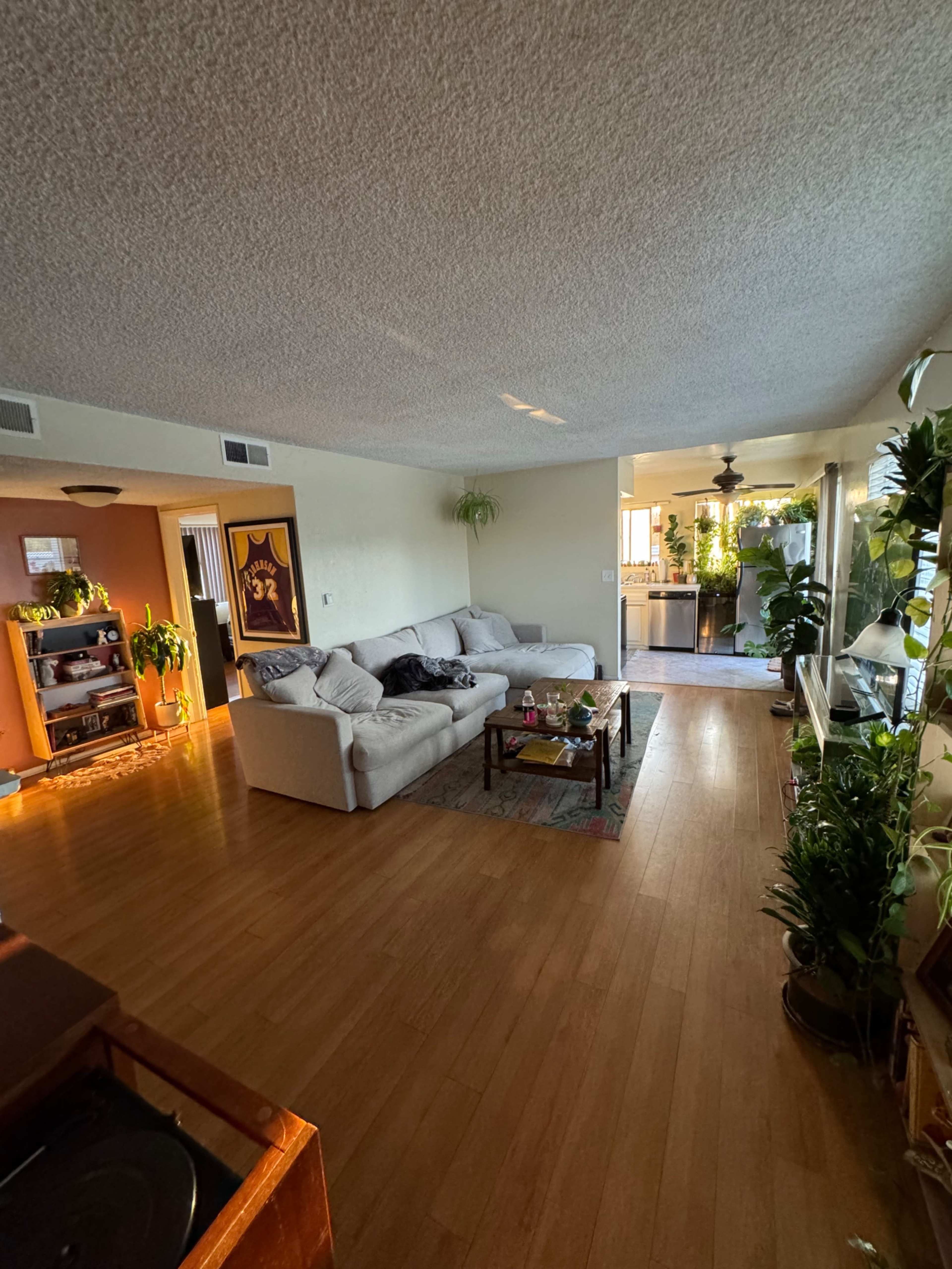 Beverly Hills Penthouse with Entire Rooftop and Unlimited Natural Light Image in Beverly Hills, Beverly Hills, CA